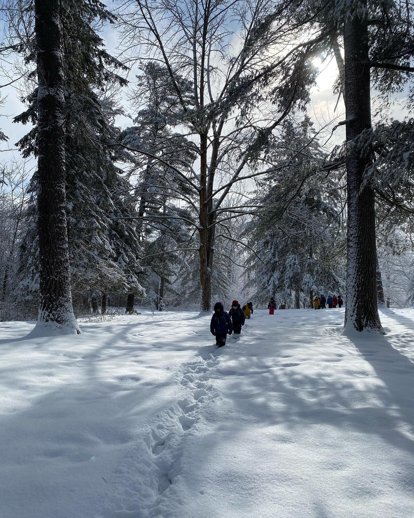 @rowantreeptbo Another beautiful snowy morning in Nature Kindergarten! The children build strength, balance, endurance and coordination walking through the deep snow on the way to the day&rsquo;s forest classroom 🌲🌲❄️
.
.
.
#forestschool #forestsch