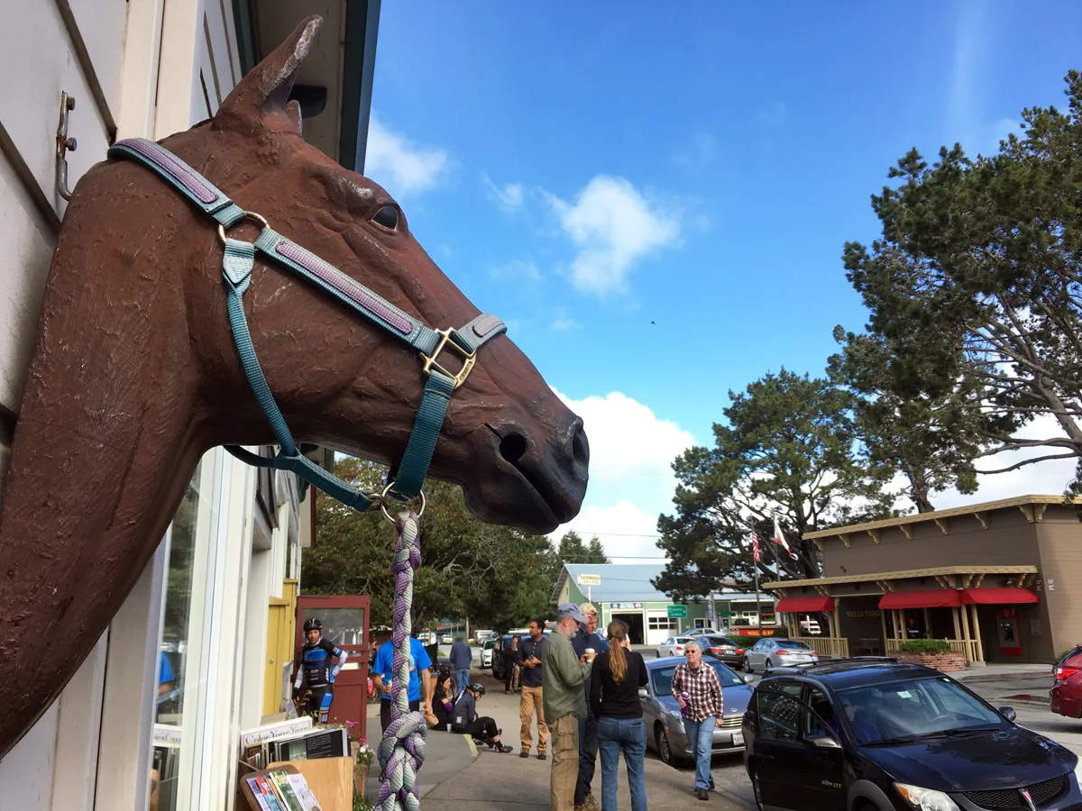 horsehead.jpg