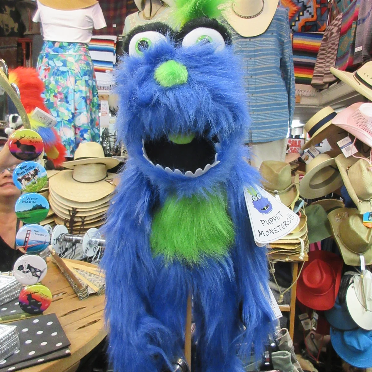 Funny Puppets in Point Reyes Station for children and adults. — Cabaline