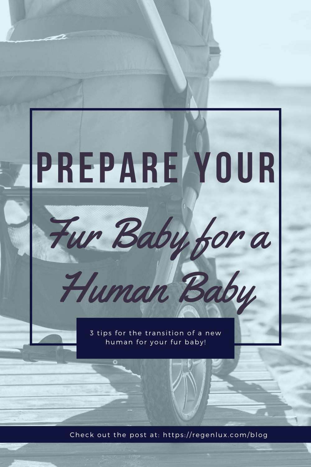 Preparing Your Fur Baby for a Human Baby