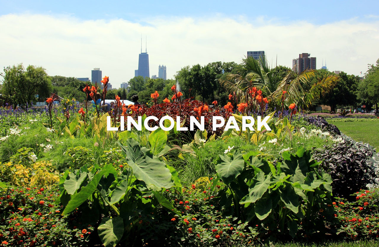 Lincoln Park Cover.jpg