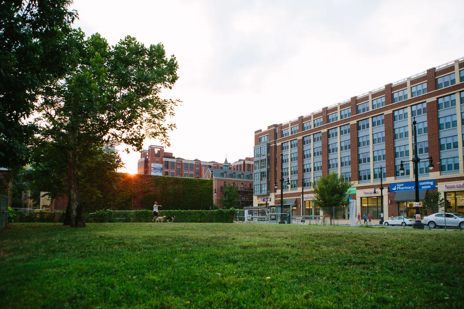 green space.jpg