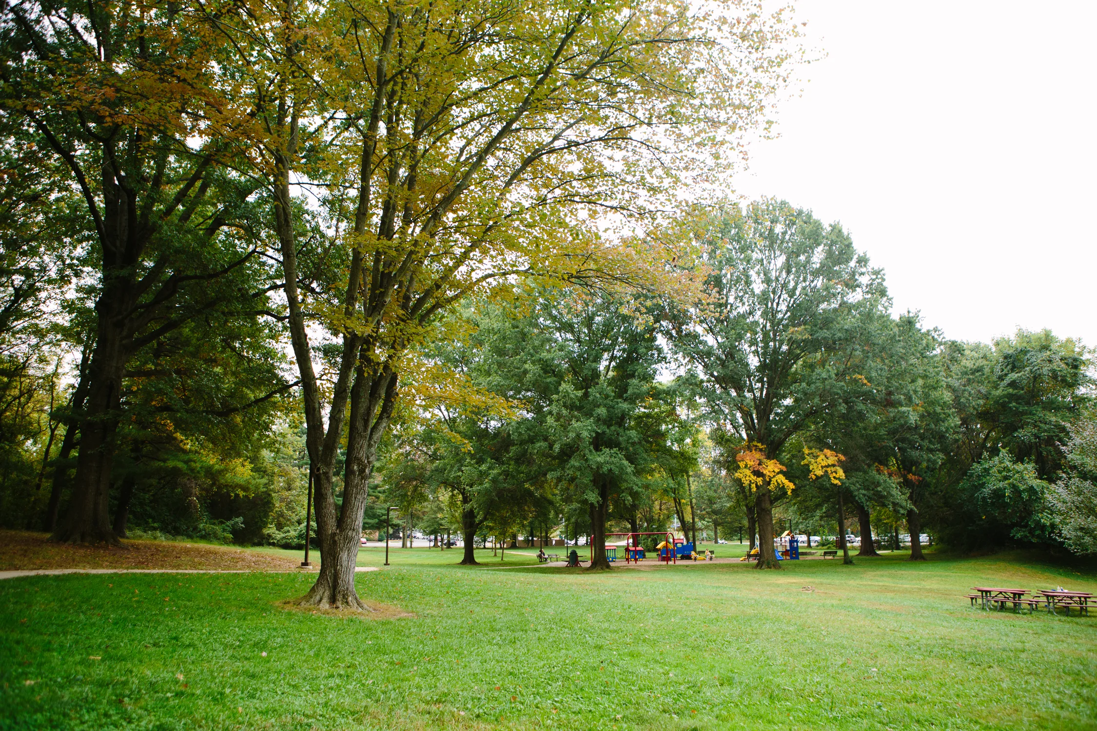 dwellworks_mclean_web-18.jpg