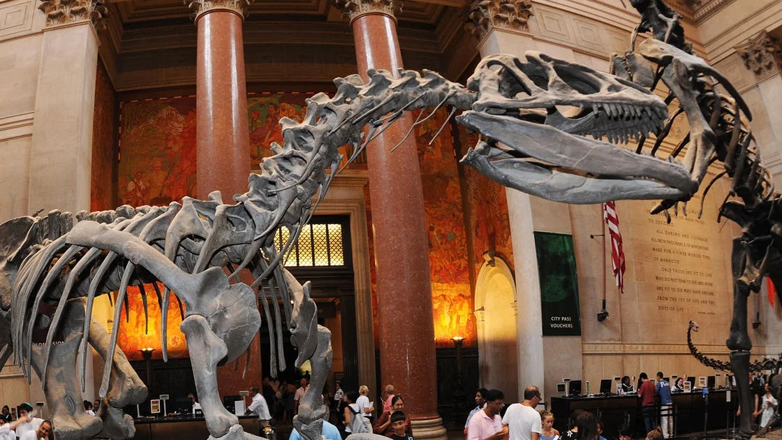 American Museum of Natural History