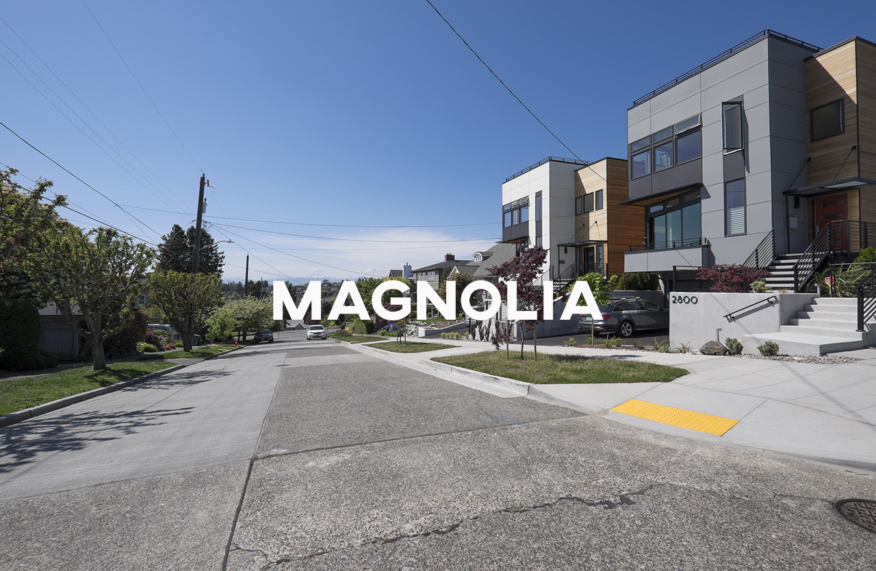 Magnolia.jpg