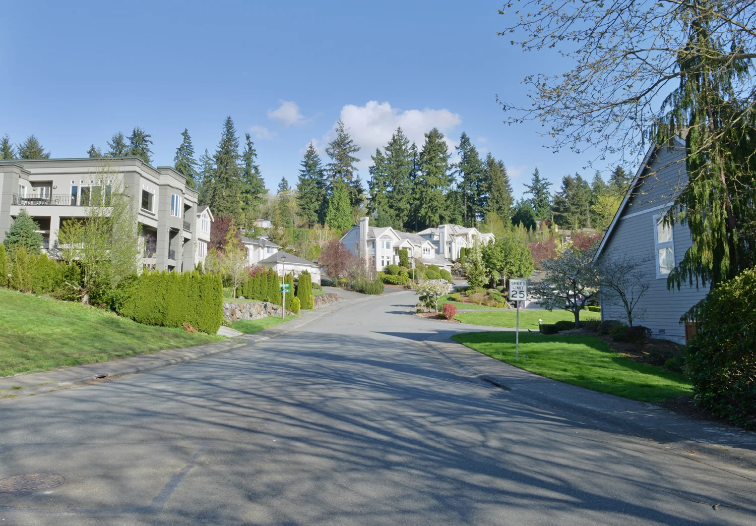 Housing 2.jpg
