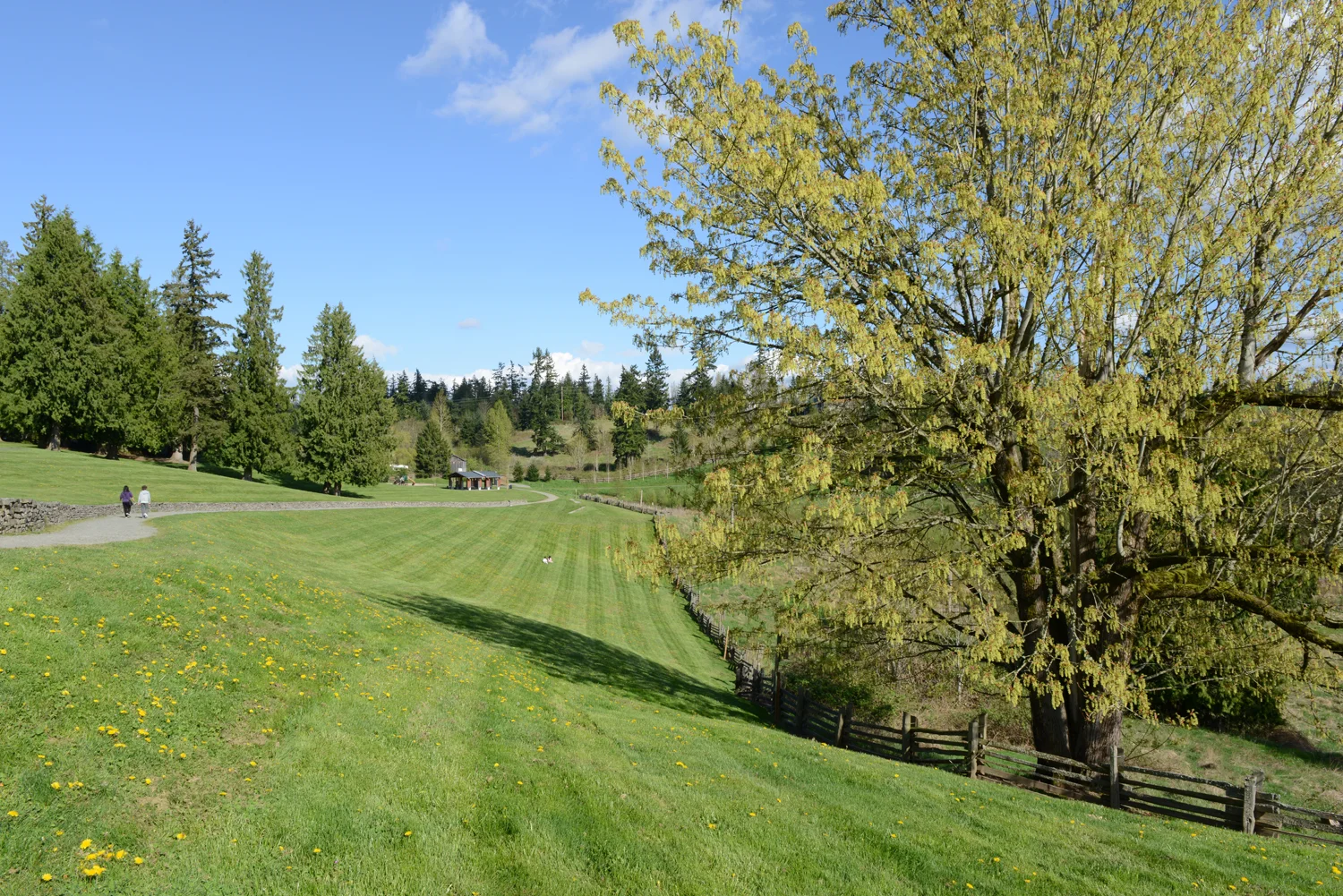Sammamish Commons Park 3.jpg