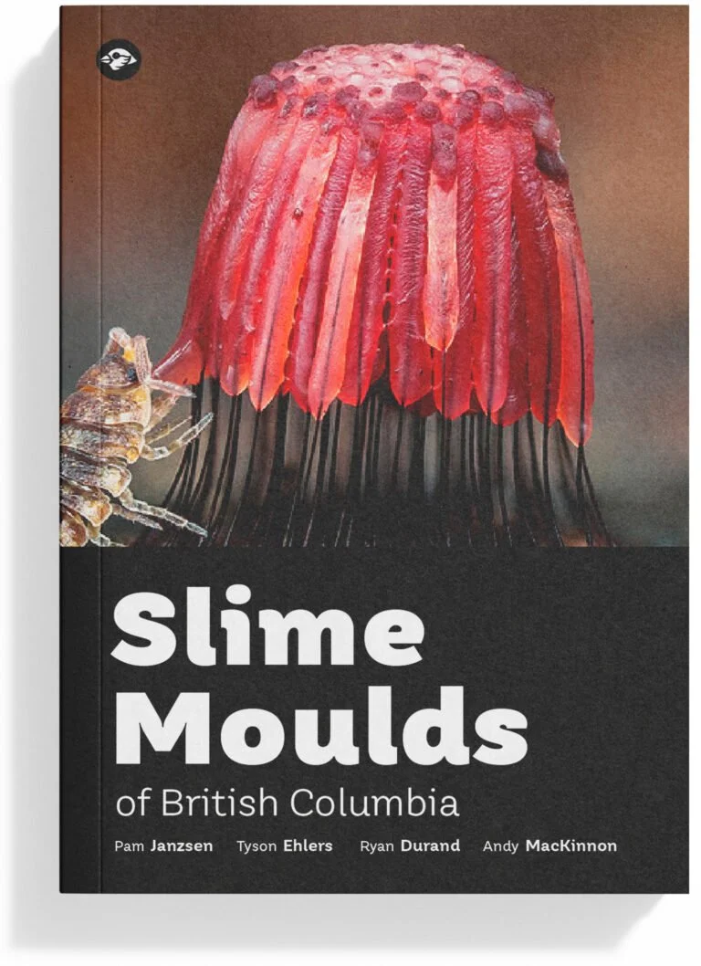 CSB-Slime-Moulds-Cover-Mockup-JW-20251111-768x1058.jpg