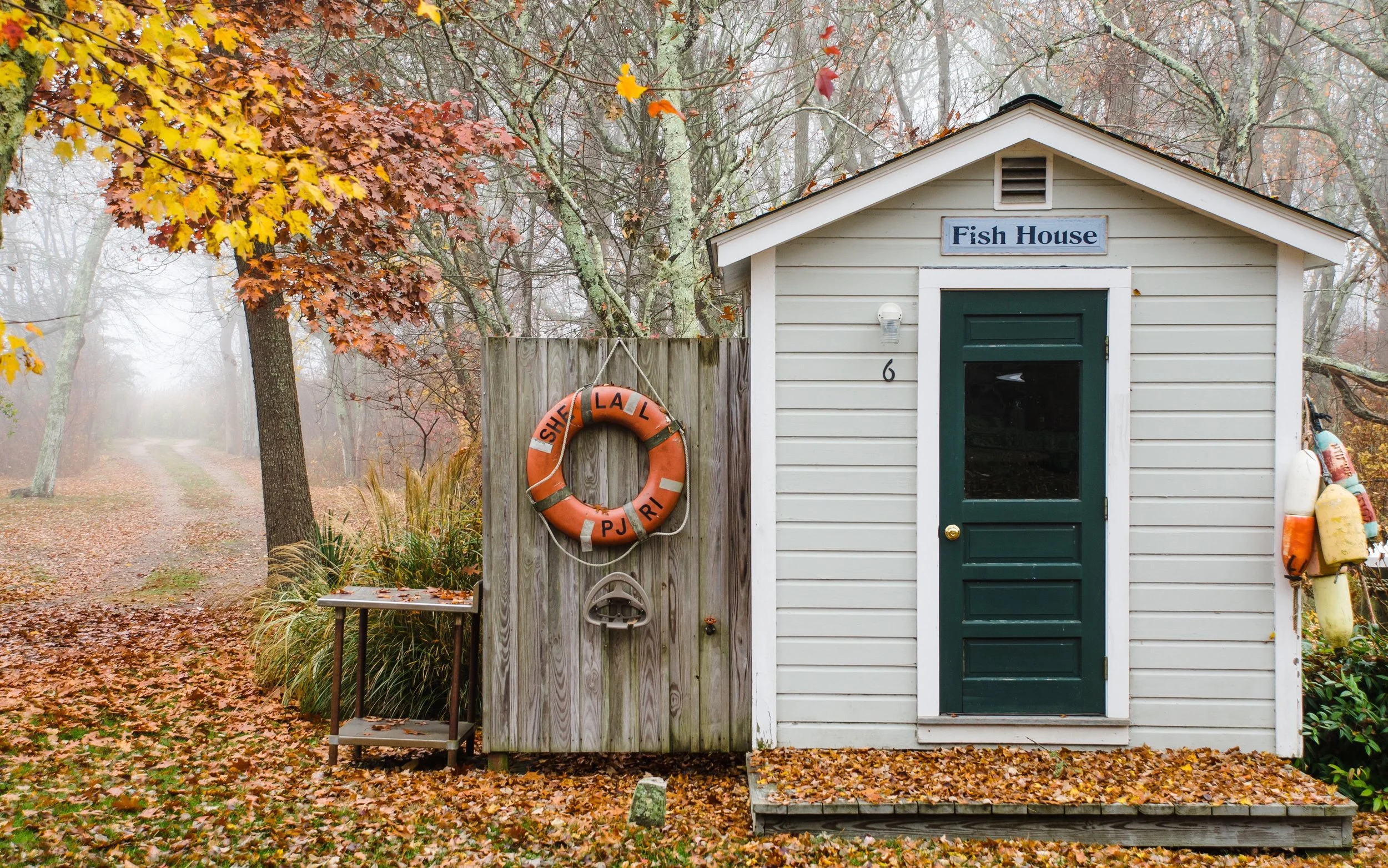 NNS_5280-Edit copy 2.jpg