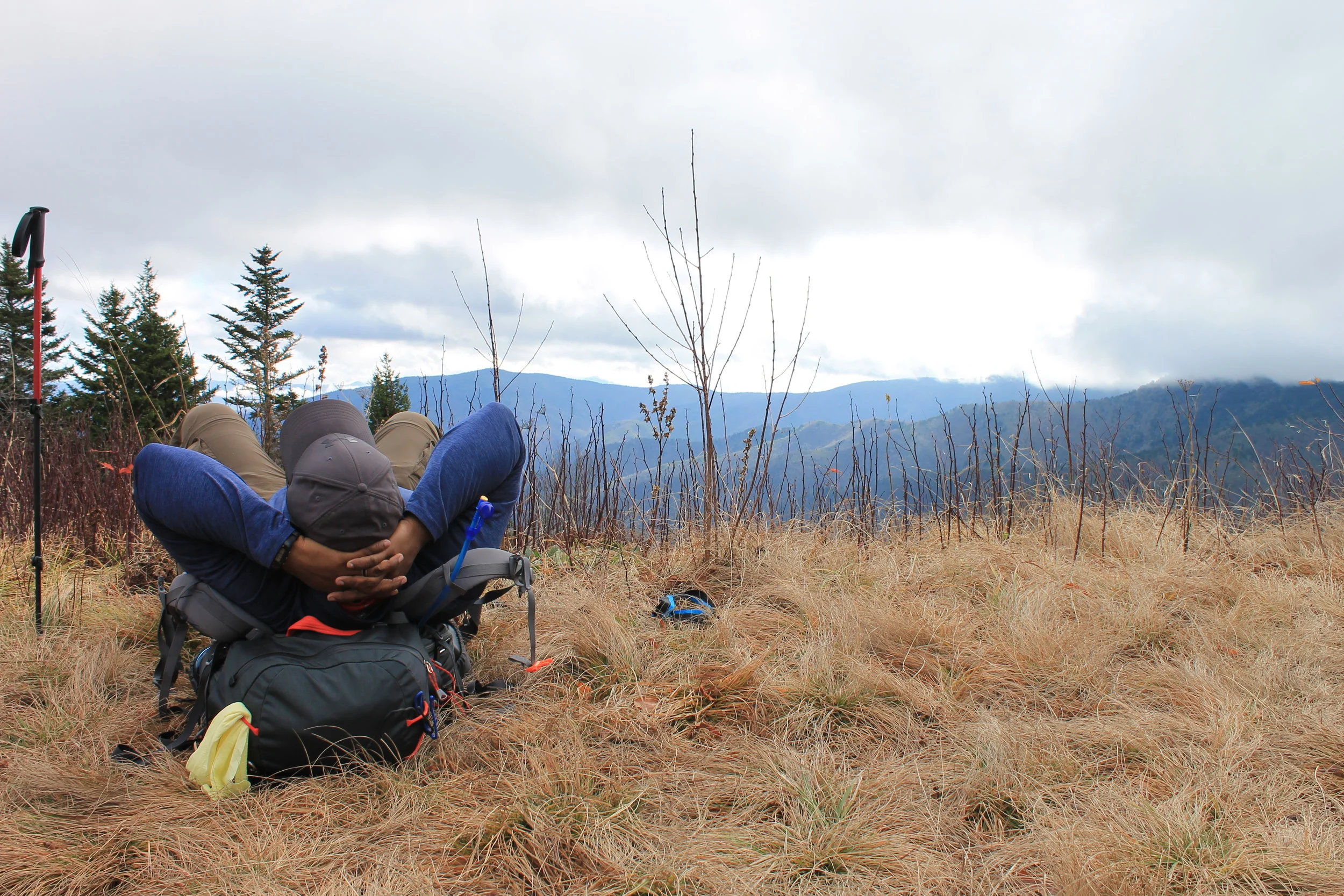 The Mountain Top View