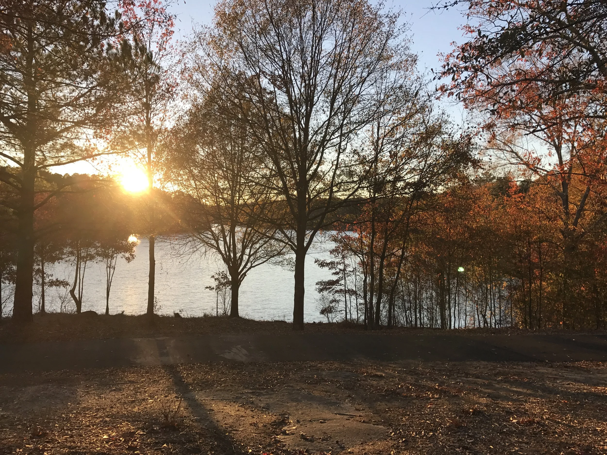 Peace In Motion (Video)