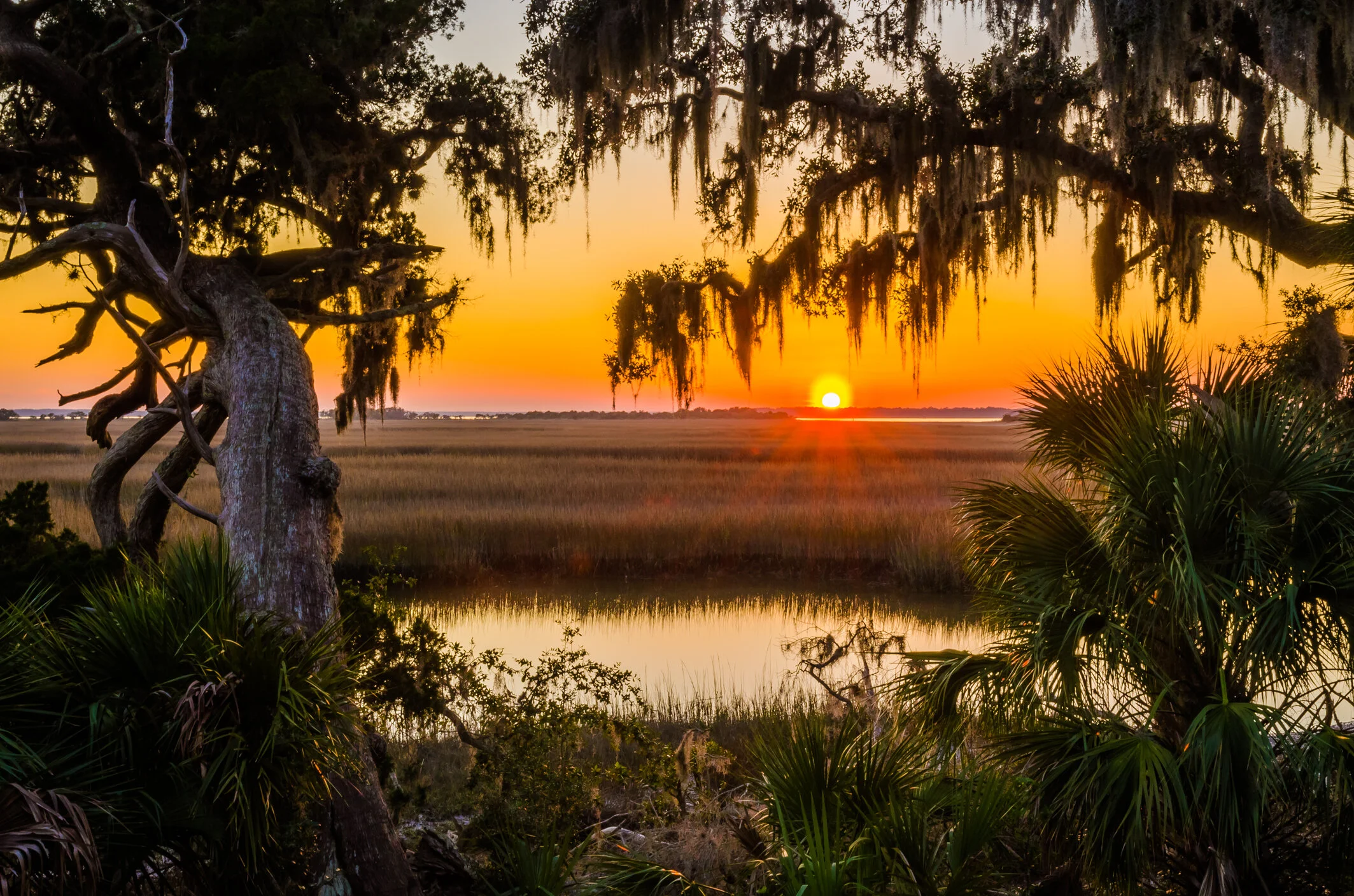 Outdoor Afro's Backpack Cumberland Island-Wouldn't You Like To Get Away? (Part 1)