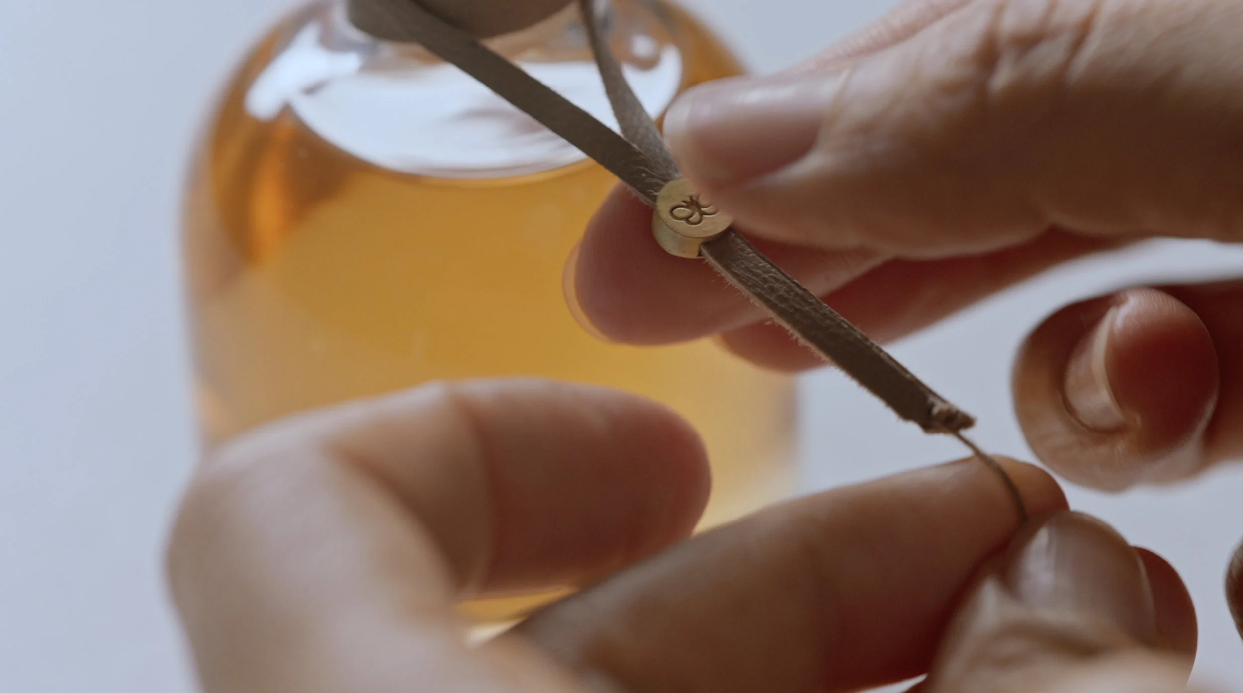 Schermata 2017-04-07 alle 17.09.51.jpg