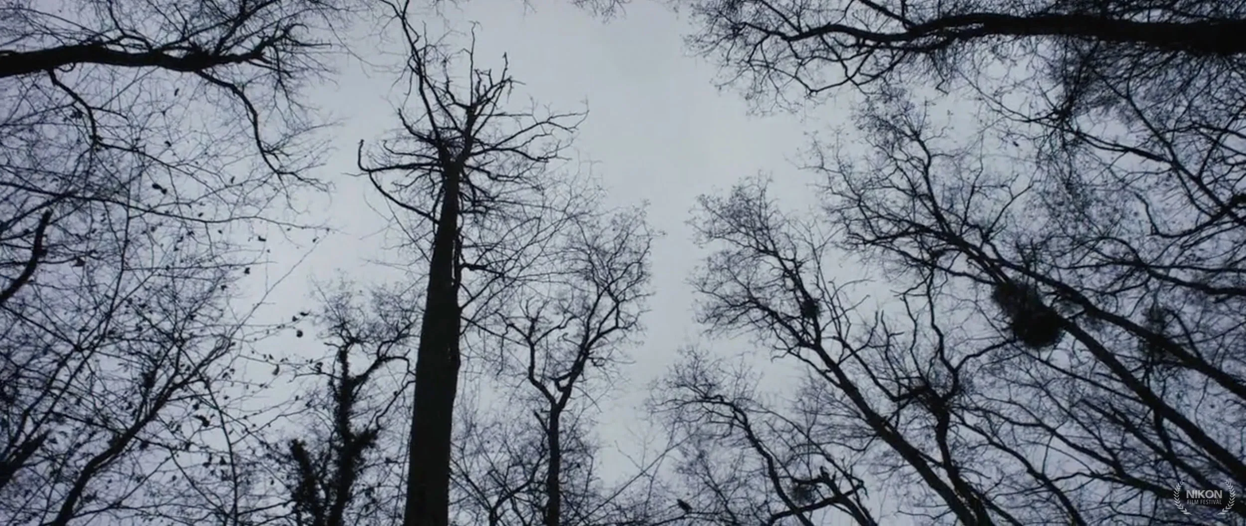 Schermata 2017-05-22 alle 10.07.13.jpg