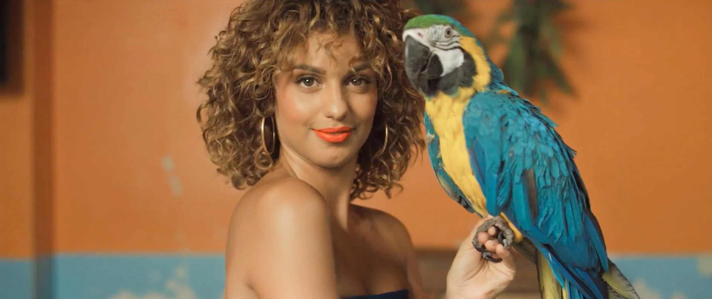 Schermata 2017-07-10 alle 16.40.27.jpg