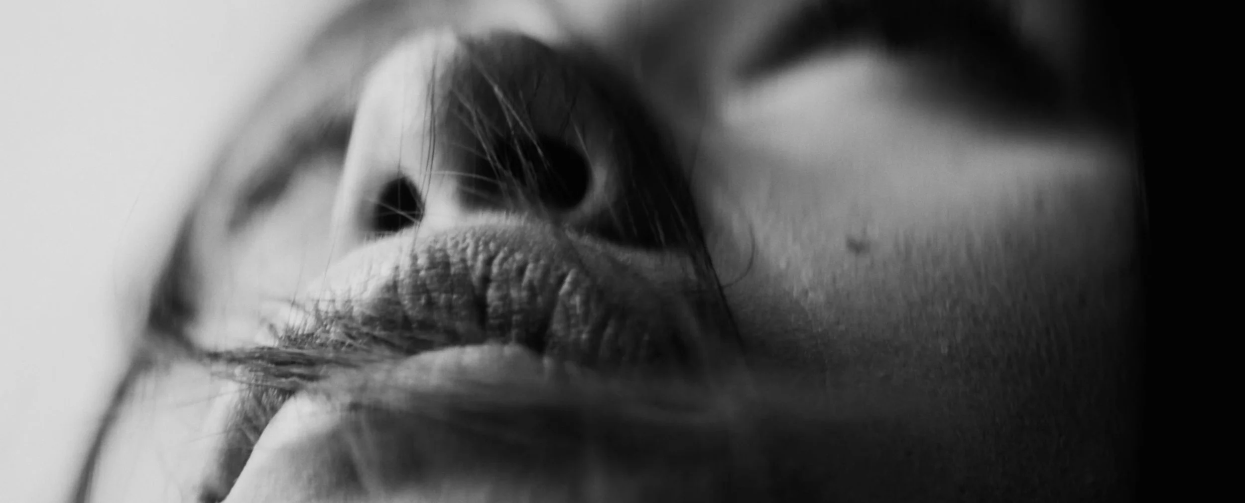 Schermata 2018-05-09 alle 17.30.13.jpg