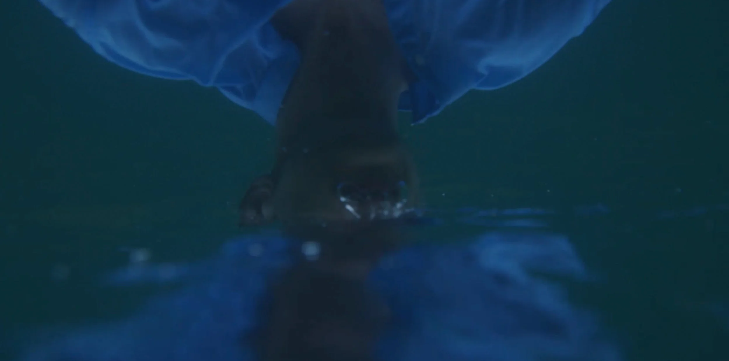 Schermata 2018-06-14 alle 22.03.21.jpg