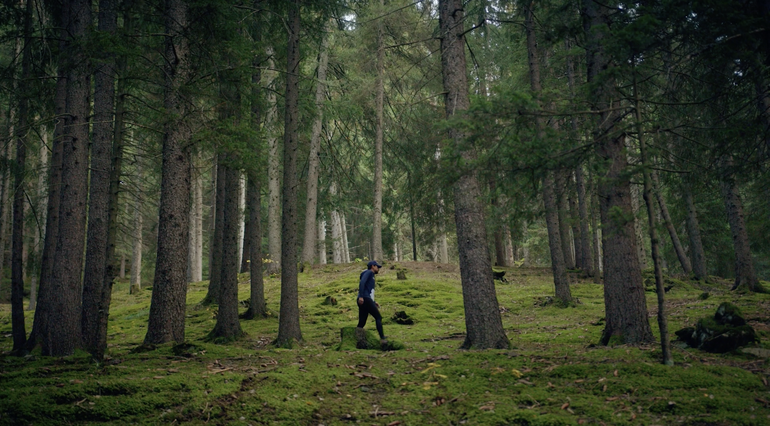 Schermata 2023-01-26 alle 17.05.22.png