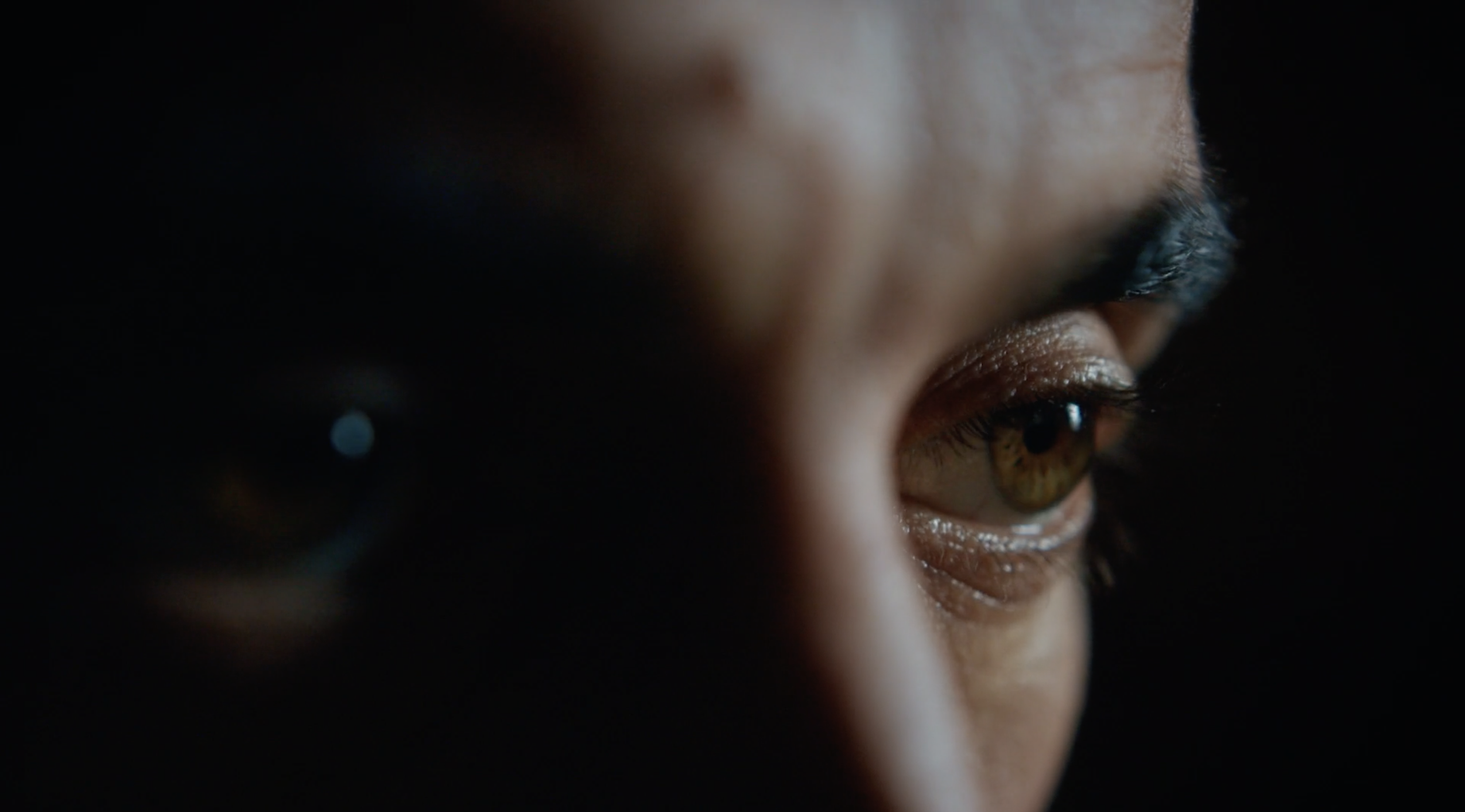 Schermata 2023-01-26 alle 17.06.04.png