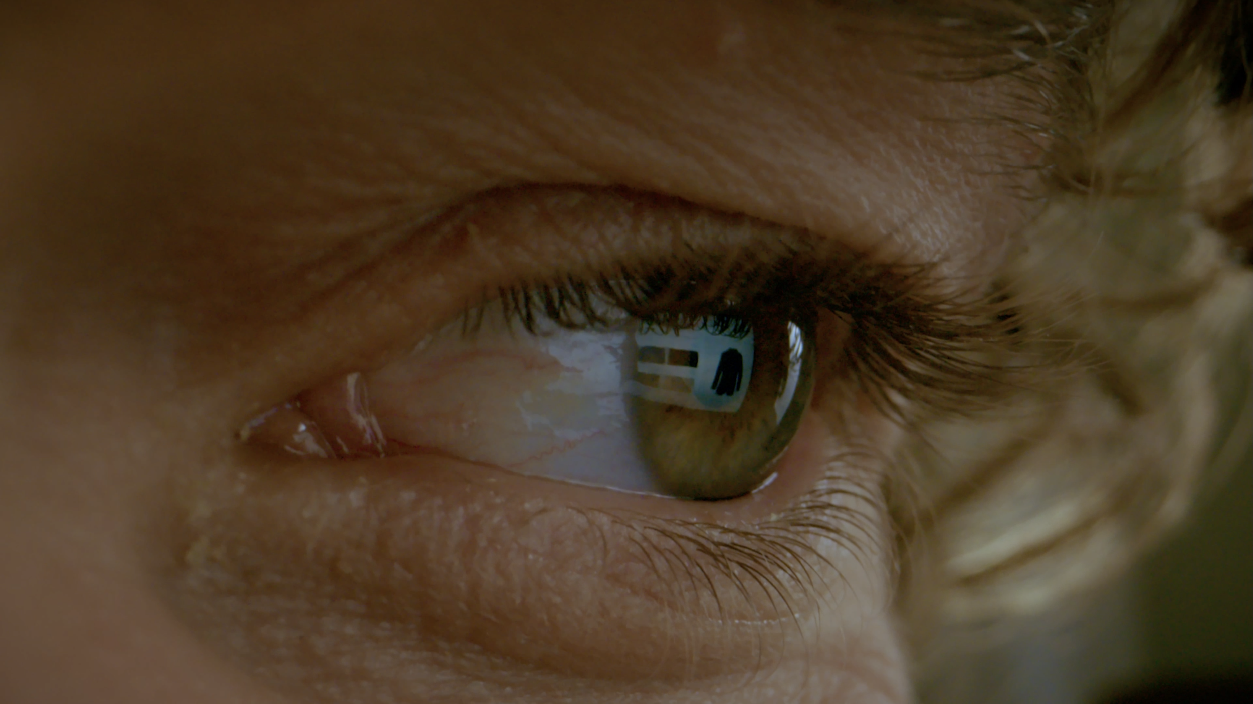 Schermata 2023-01-26 alle 17.33.17.png