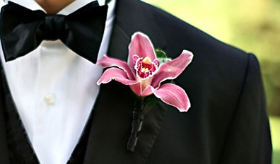 IMG_2520.jpg