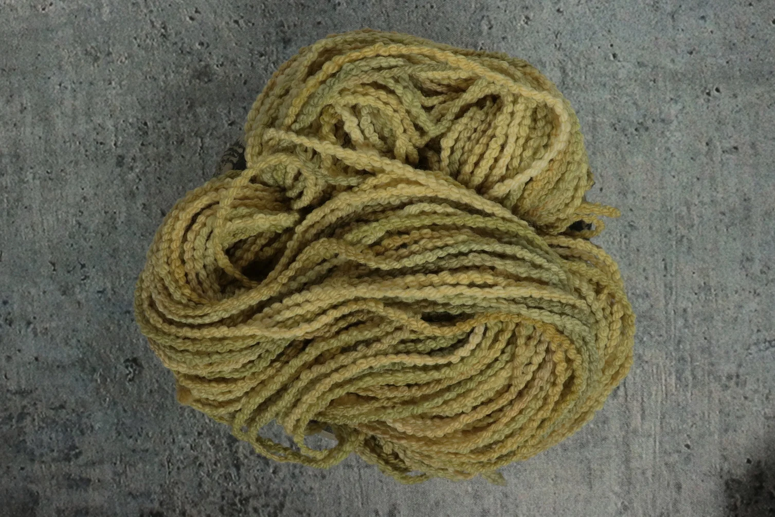 MAV_17100Bcc scaled.JPG