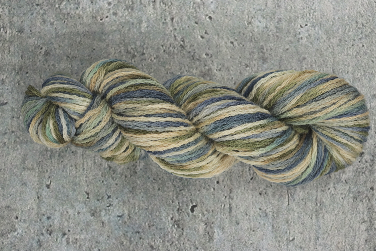 MAV_17004S cc scaled.JPG