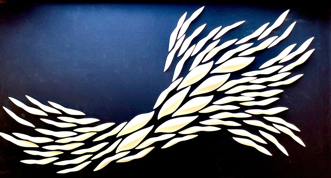 Shoal For Rebecca.jpg