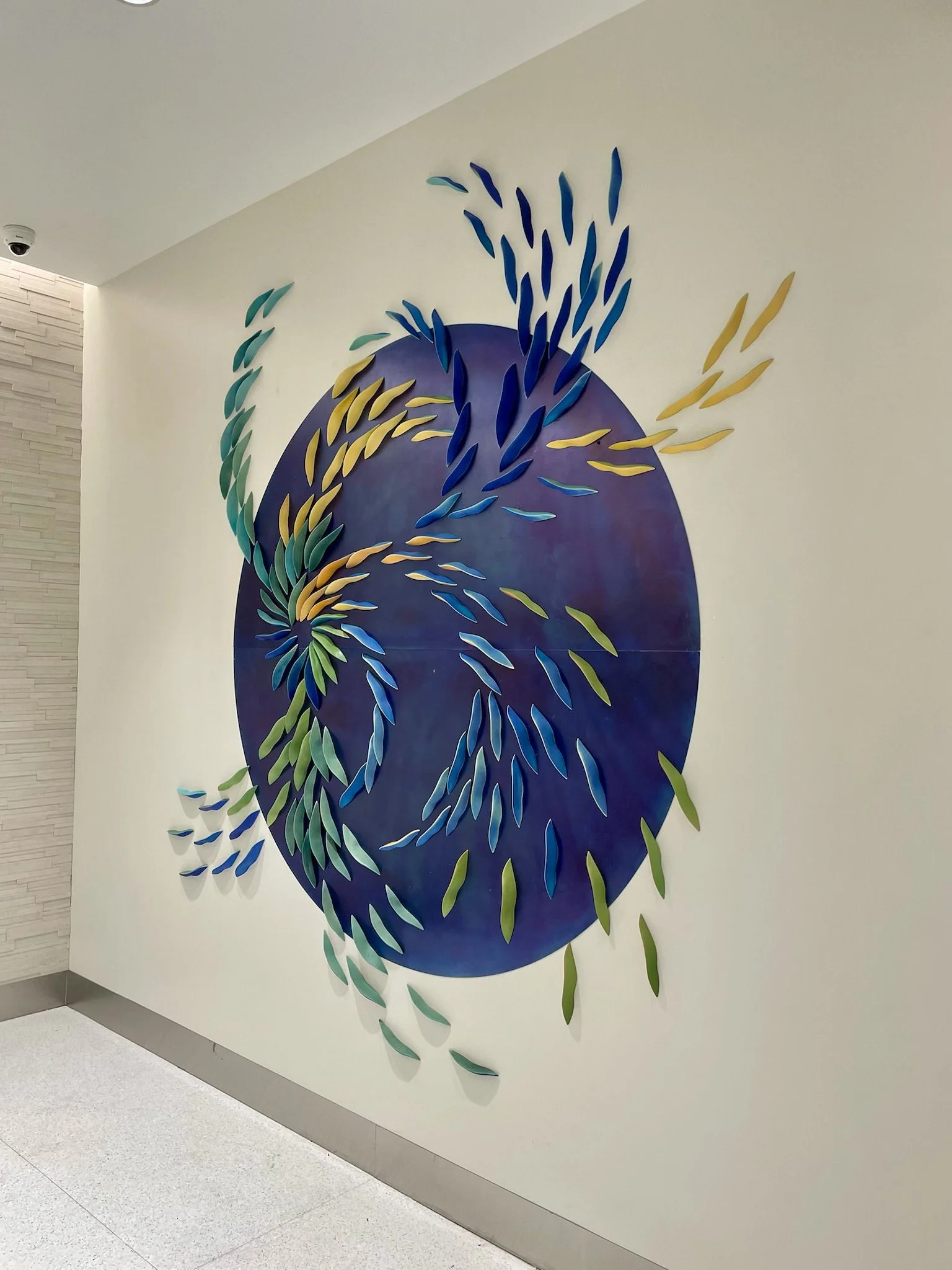 NBS Sarasota pods 1.jpeg