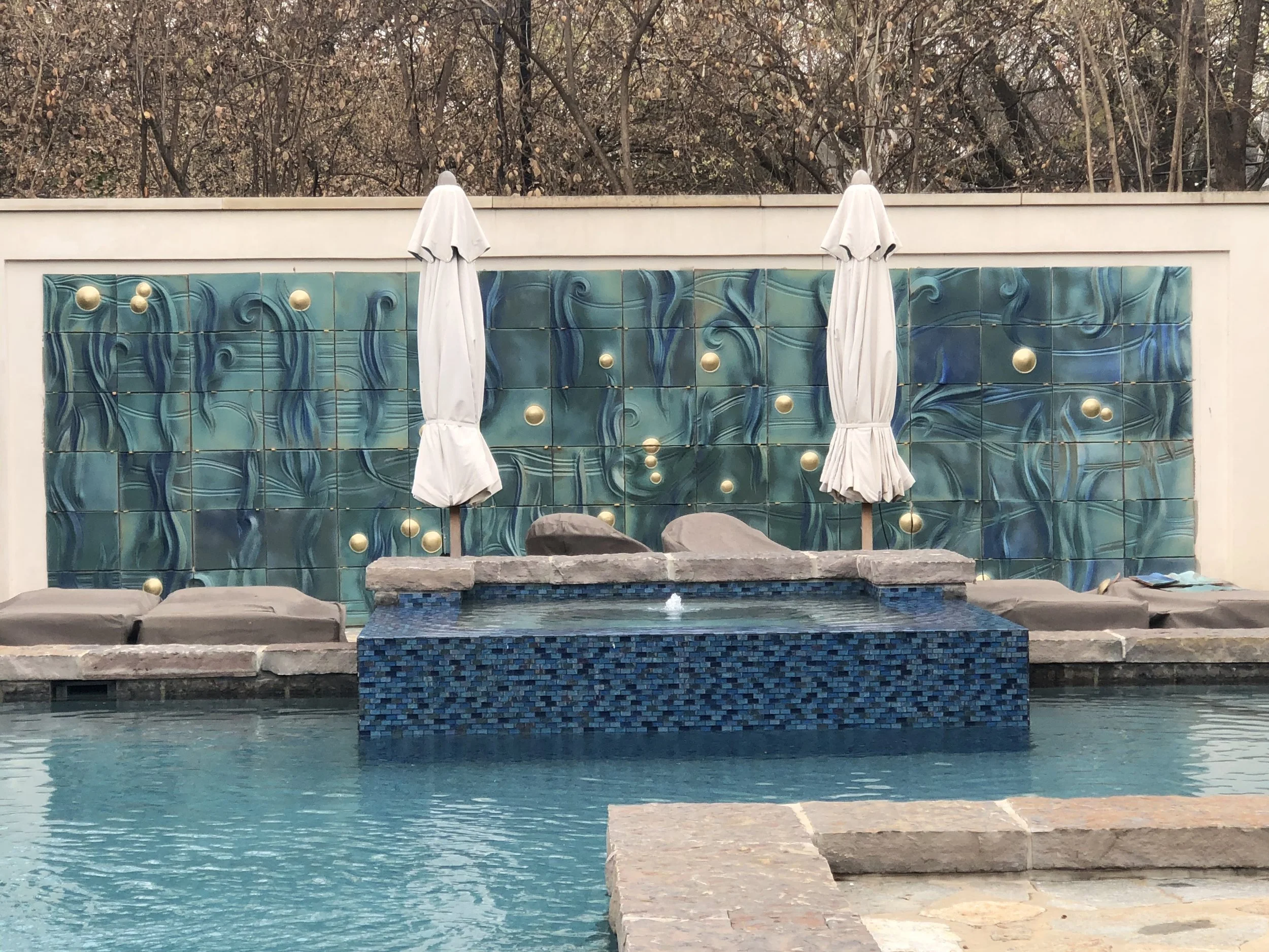 Texas Pool by Cindy Avroch Designs.jpg