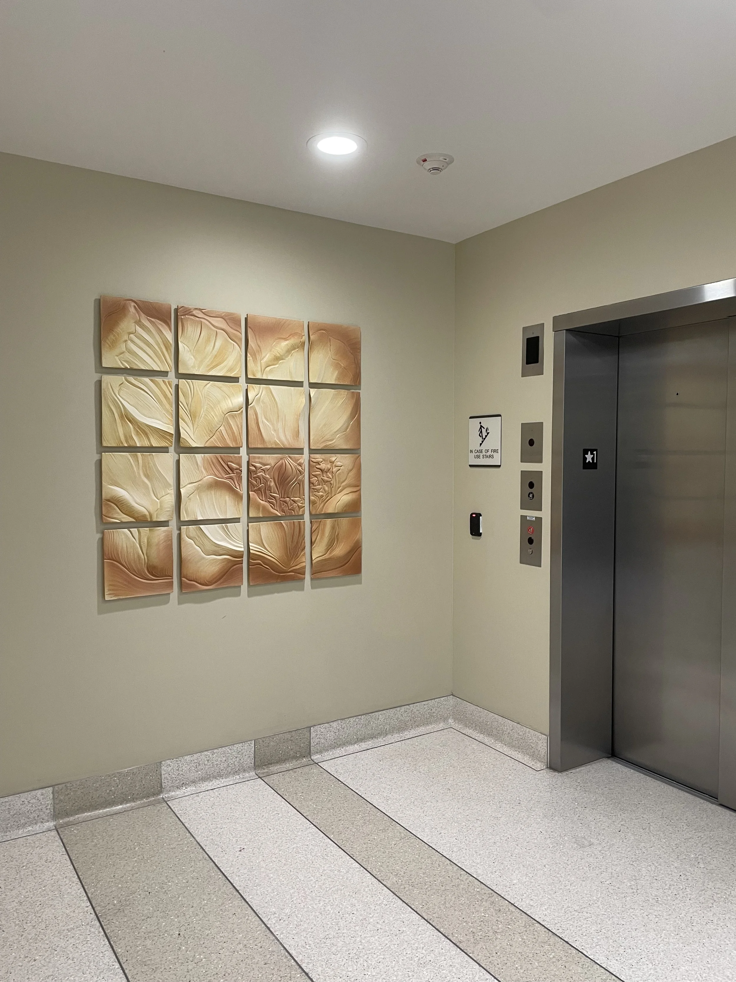Elevator Hallways
