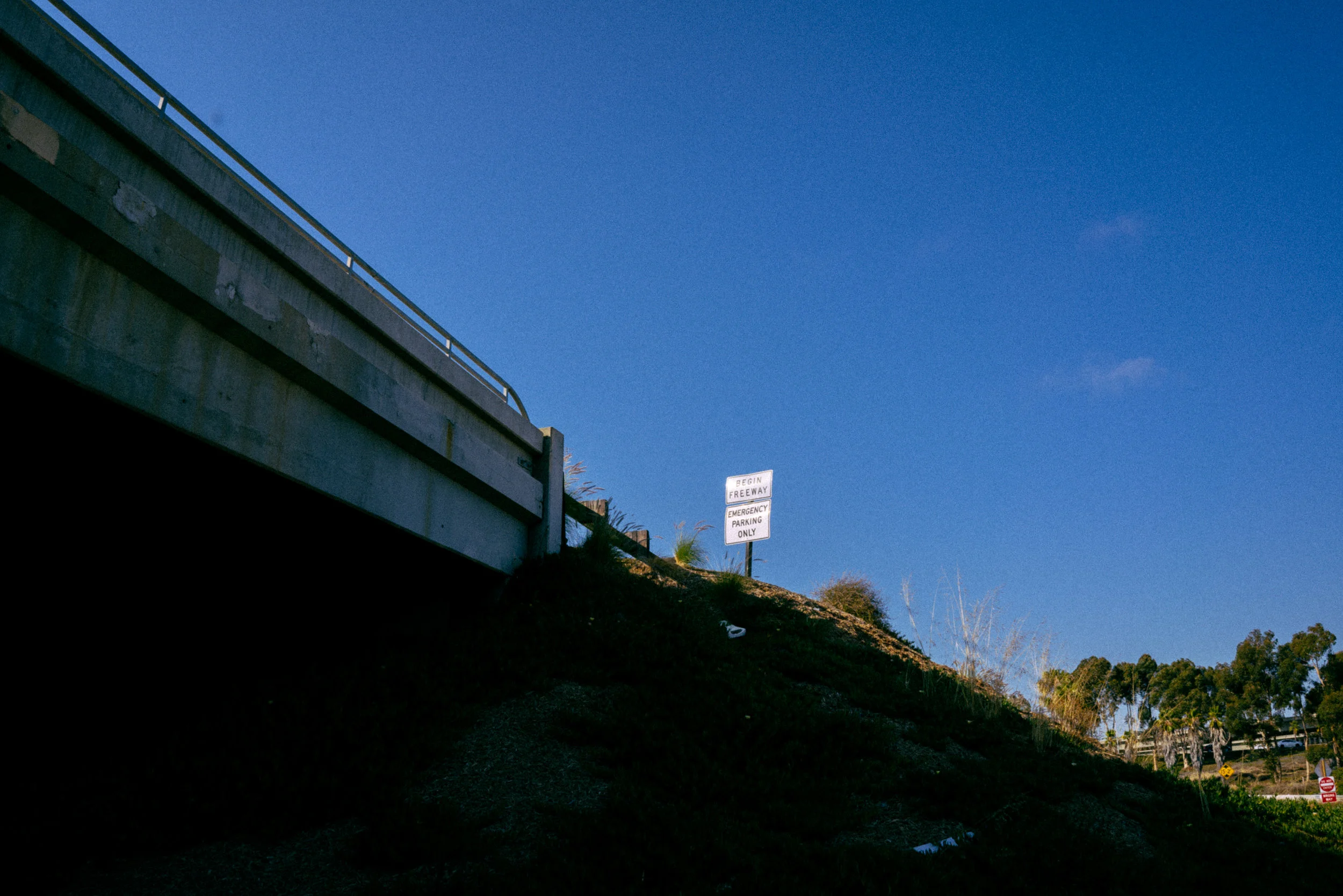 DSC01779.jpg