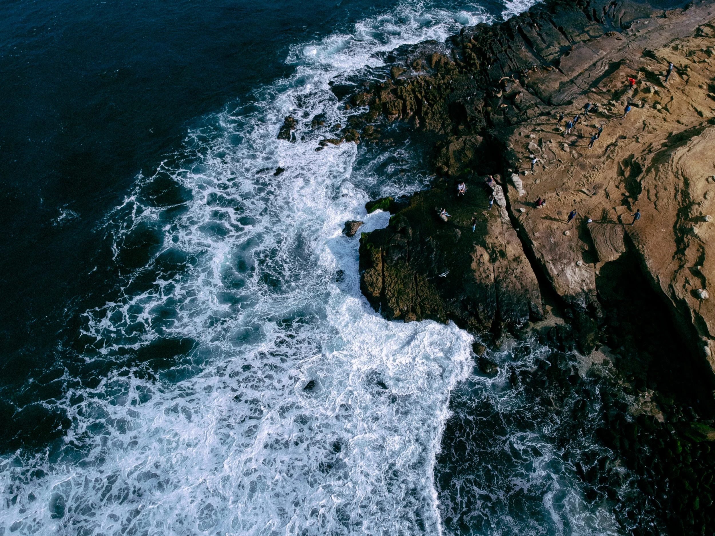DJI_0510.jpg