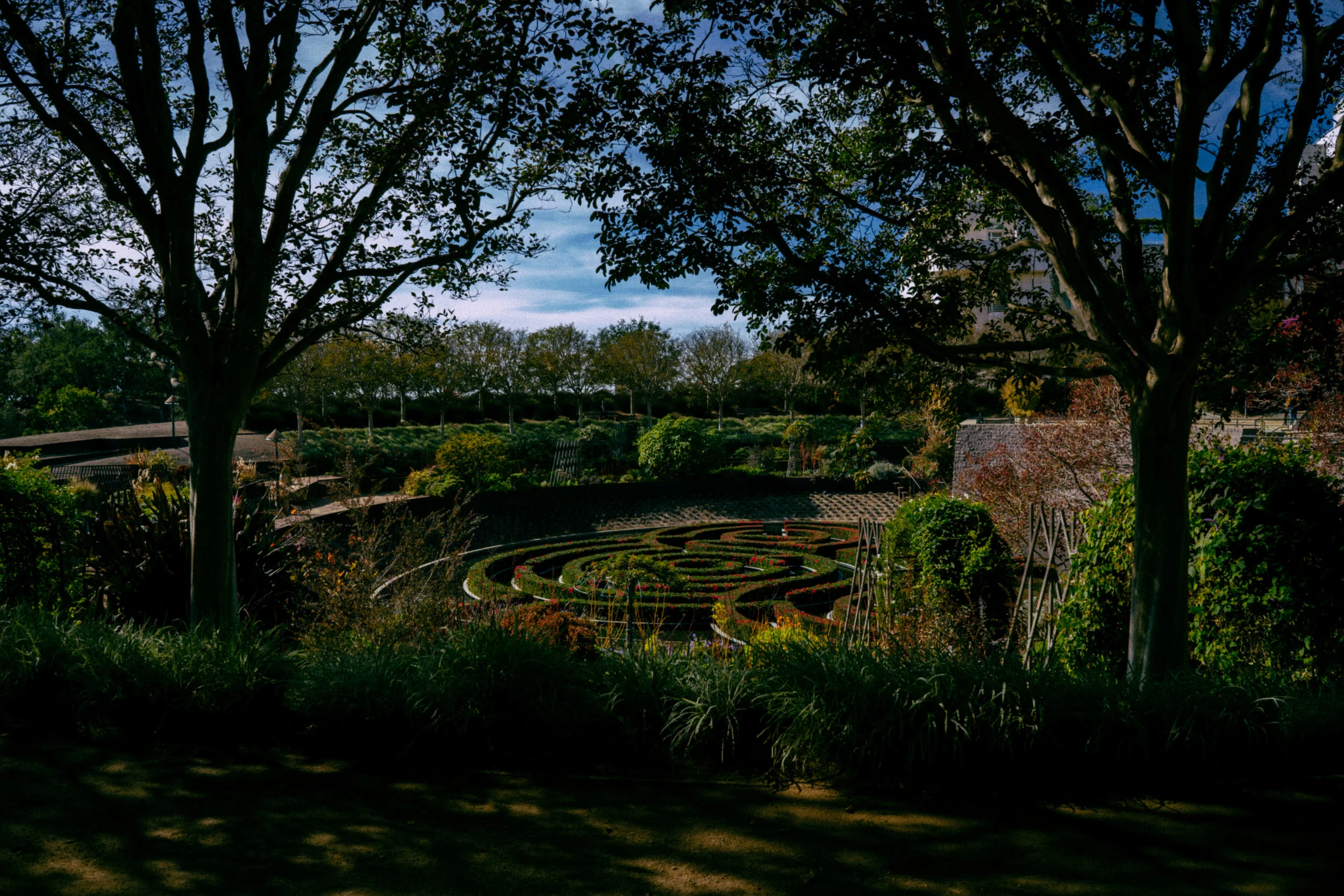 DSC02981.jpg