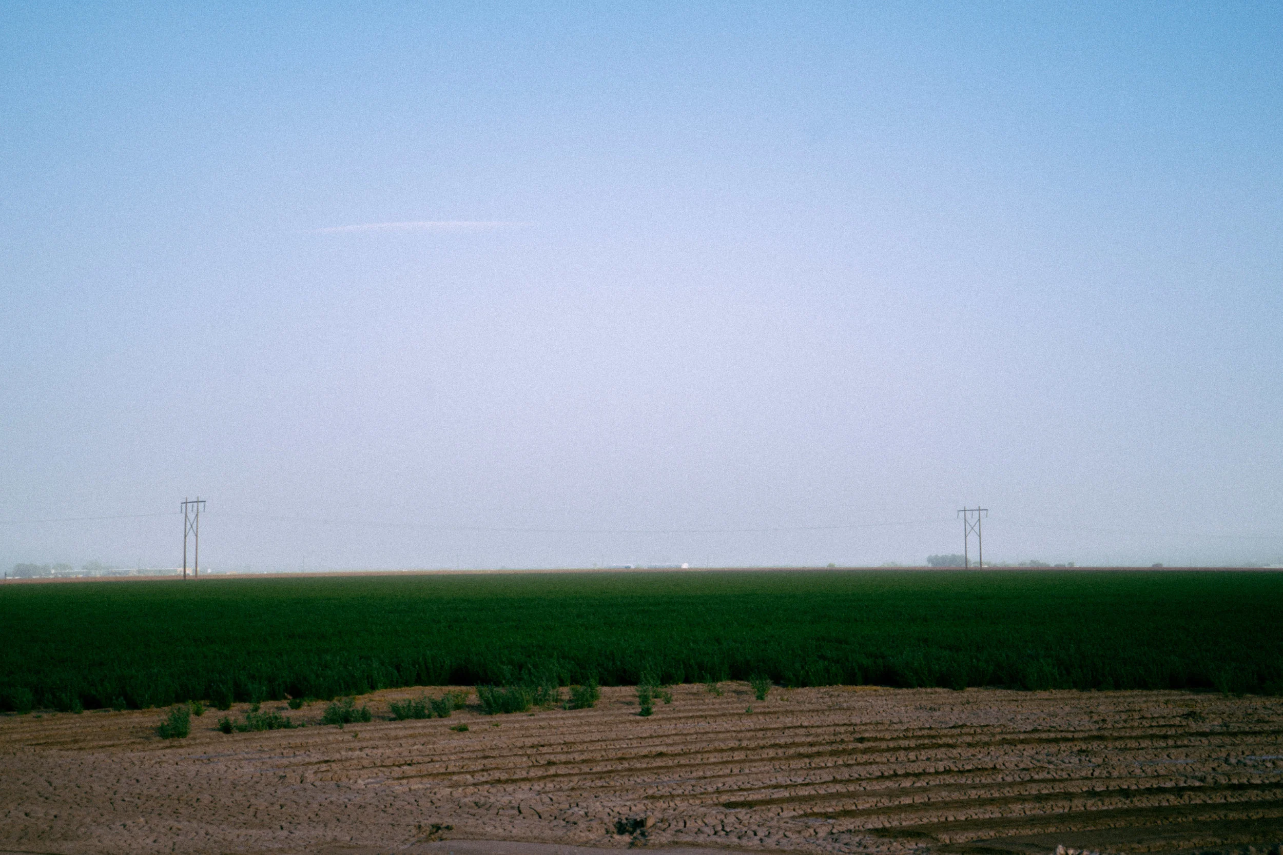 DSC05115.jpg