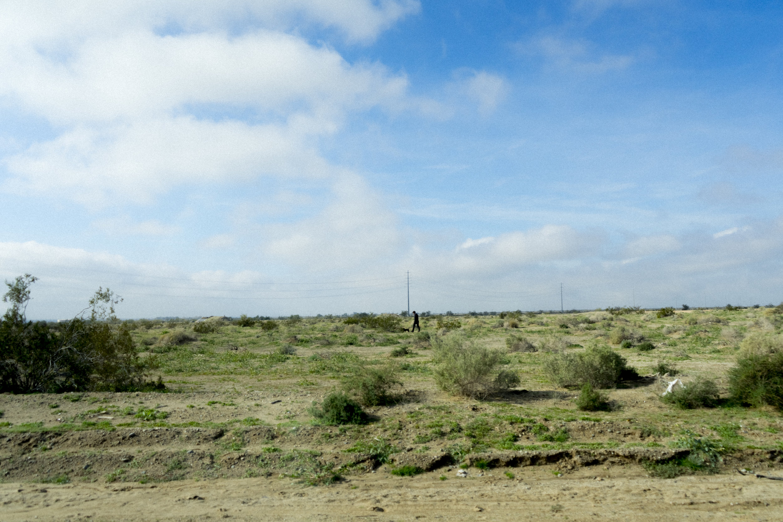 DSC08540.jpg