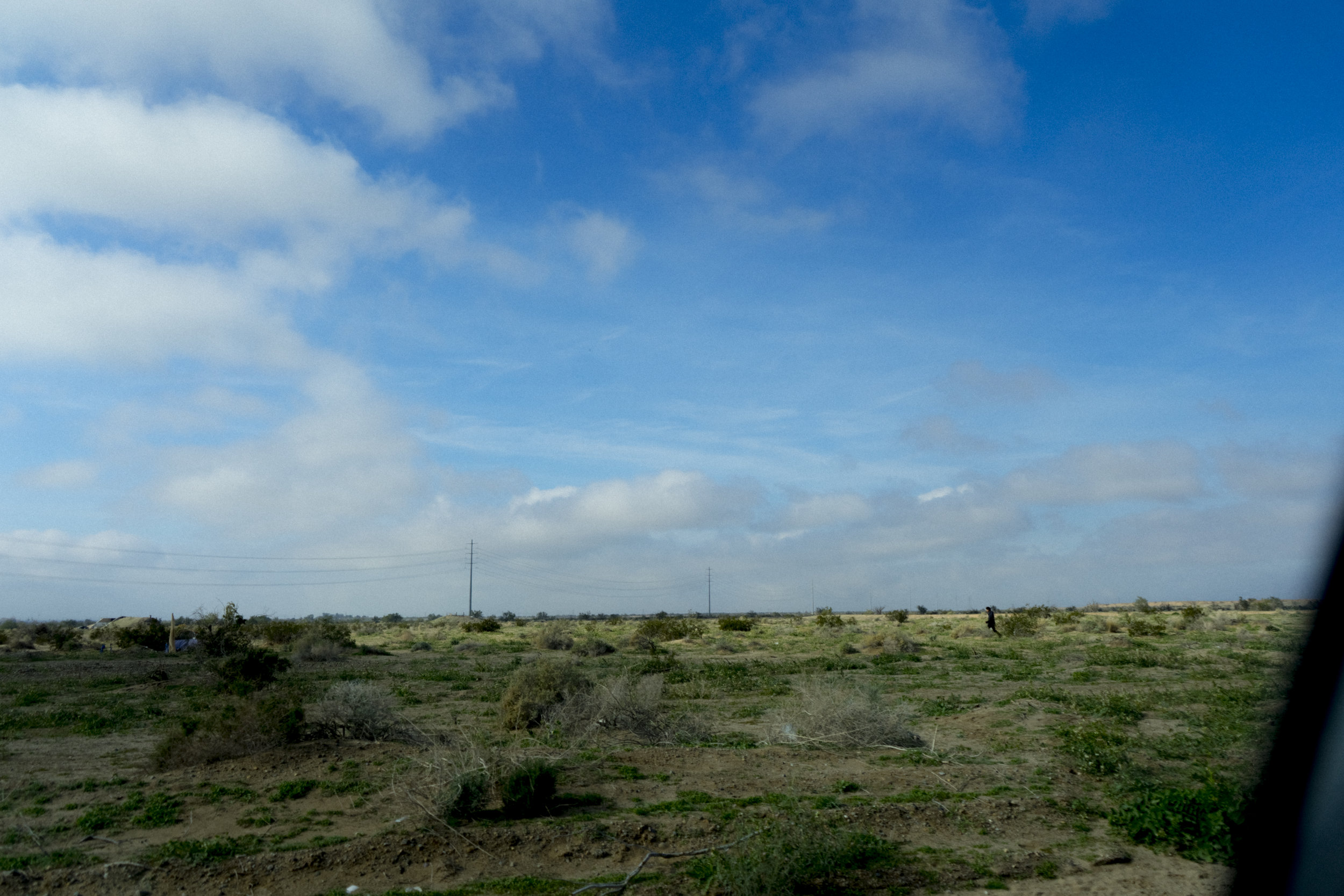 DSC08541.jpg