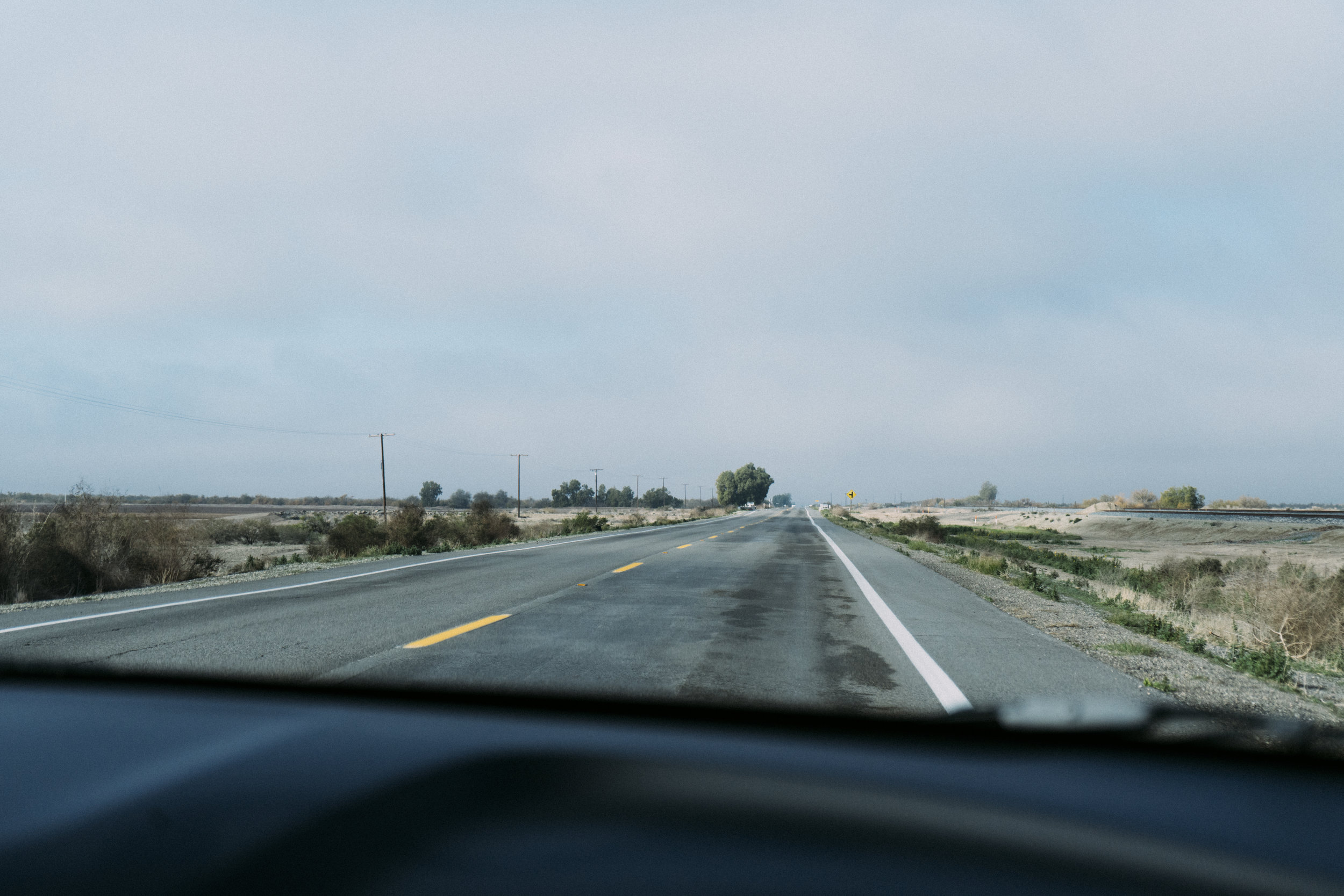 DSC08543.jpg