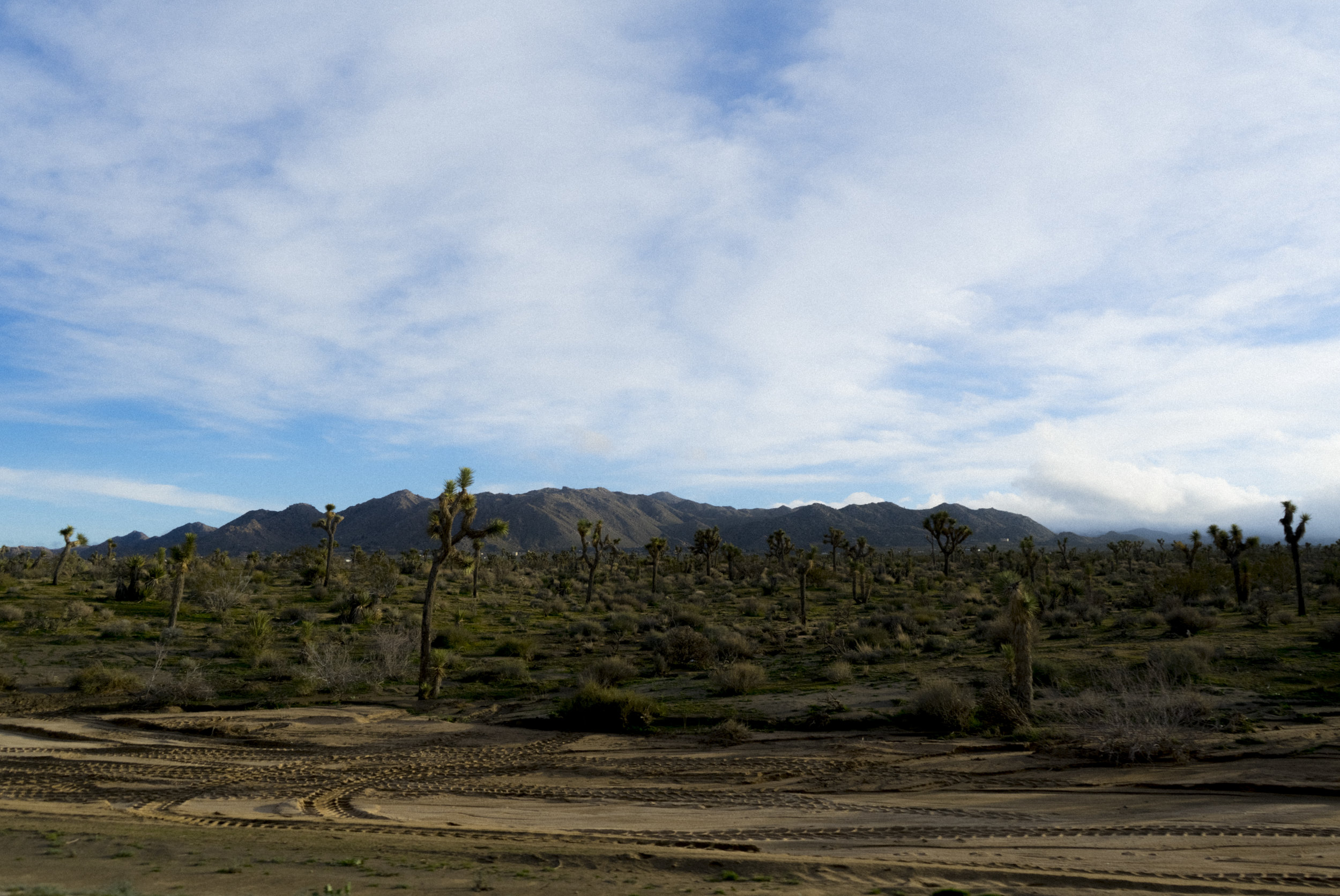 DSC08644.jpg