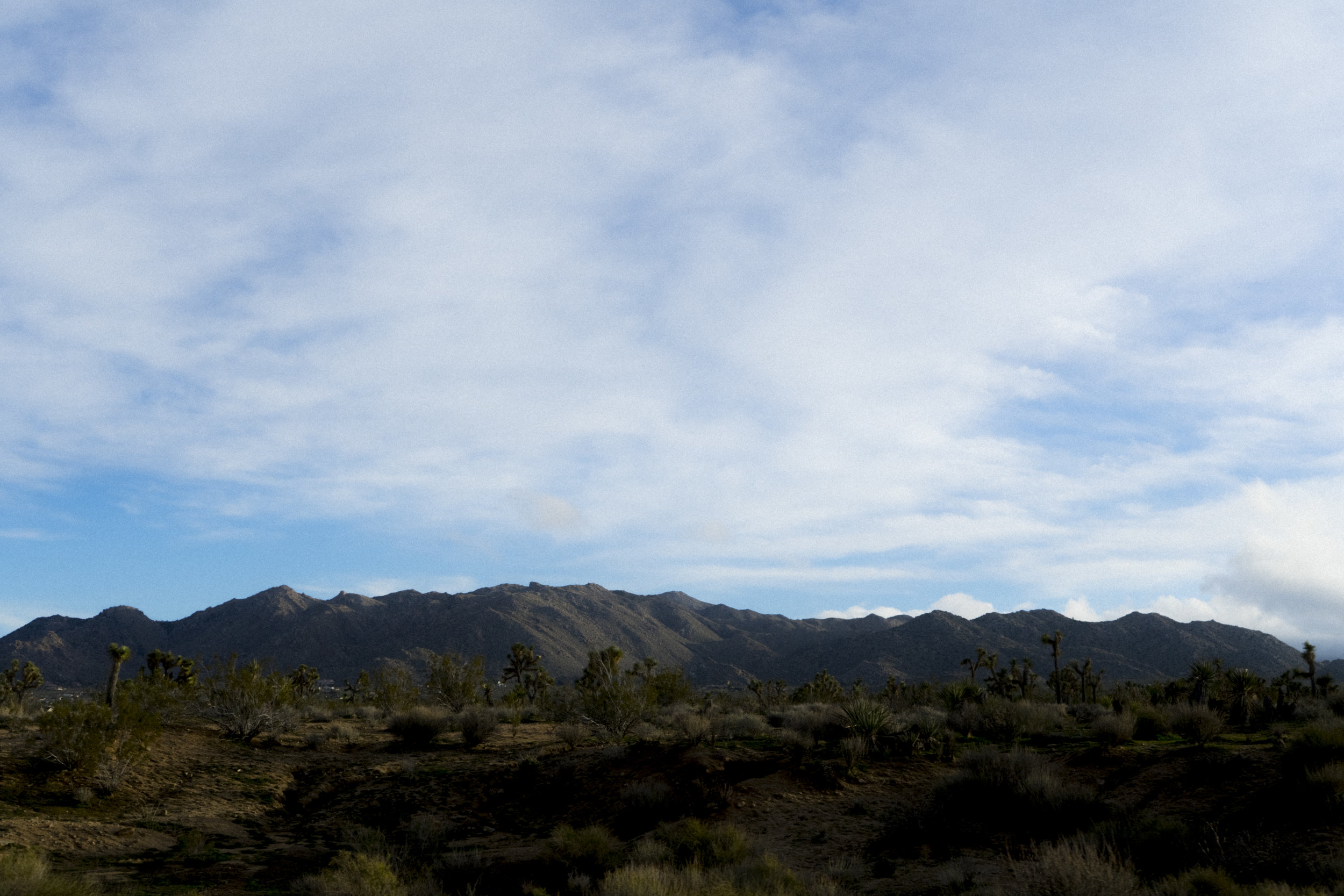 DSC08646.jpg
