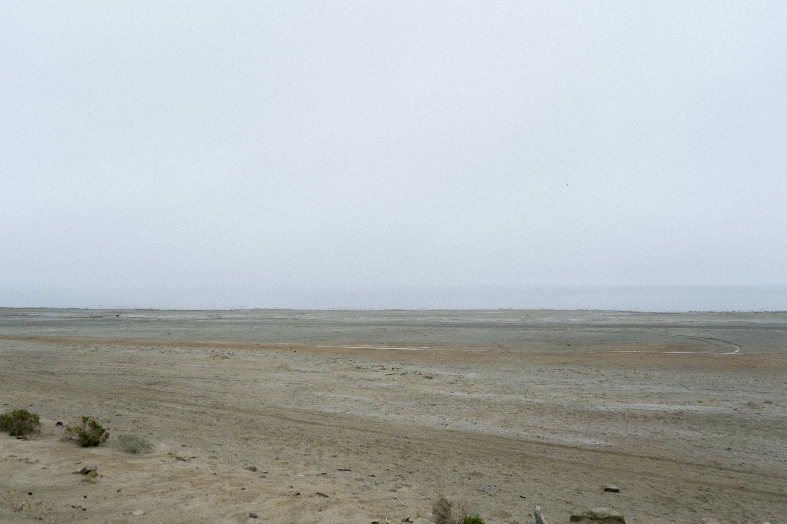 DSC08550.jpg