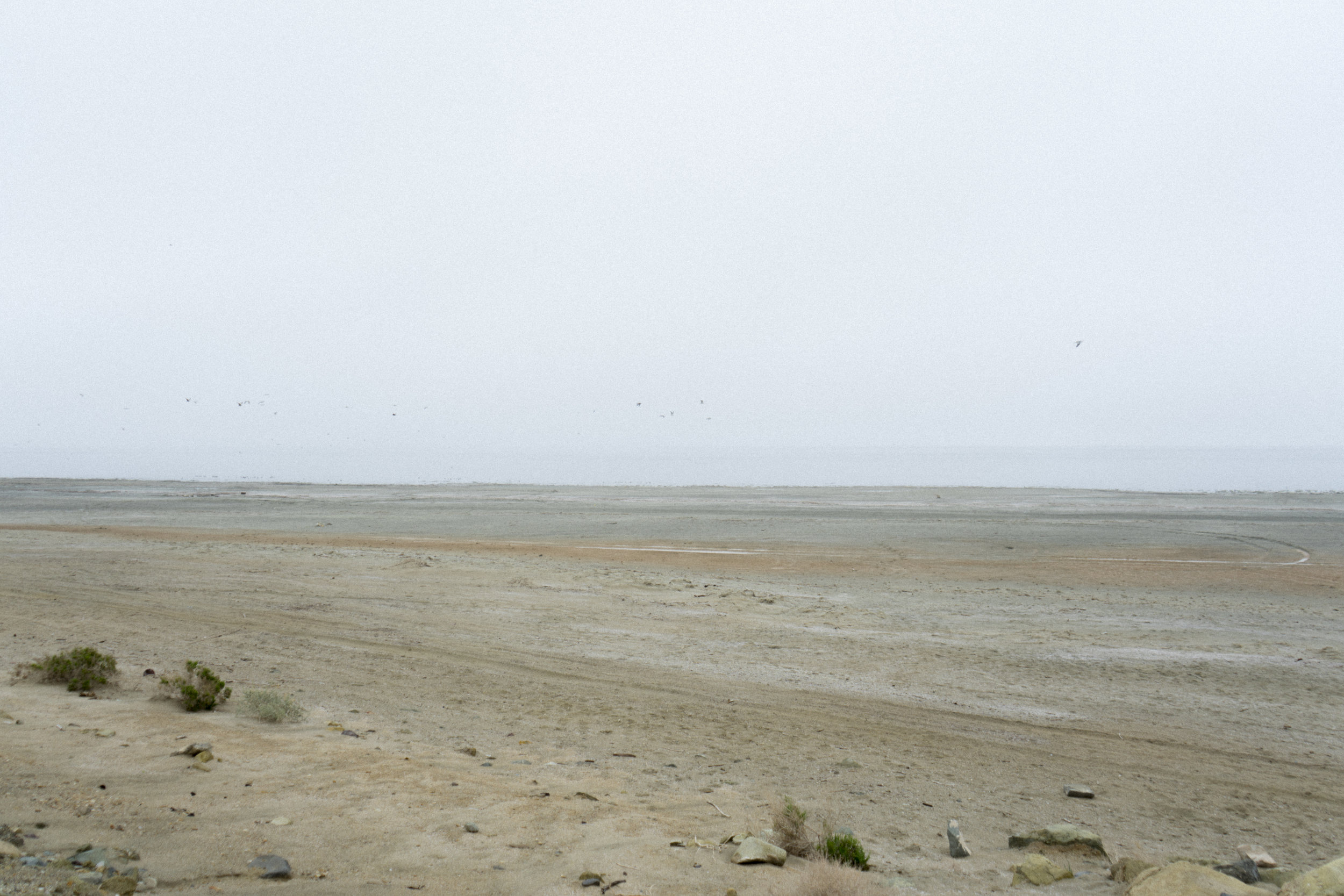 DSC08552.jpg