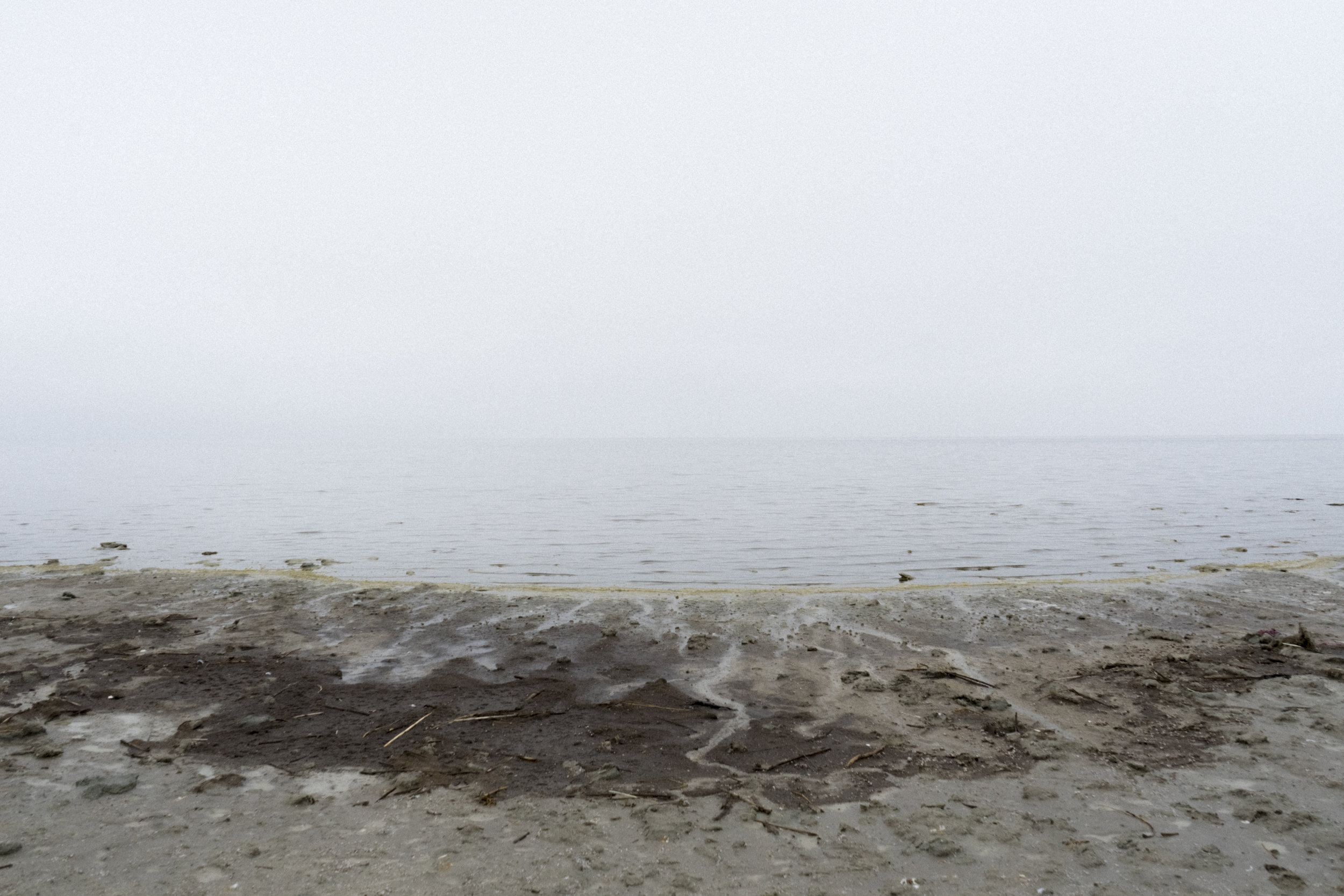 DSC08578.jpg
