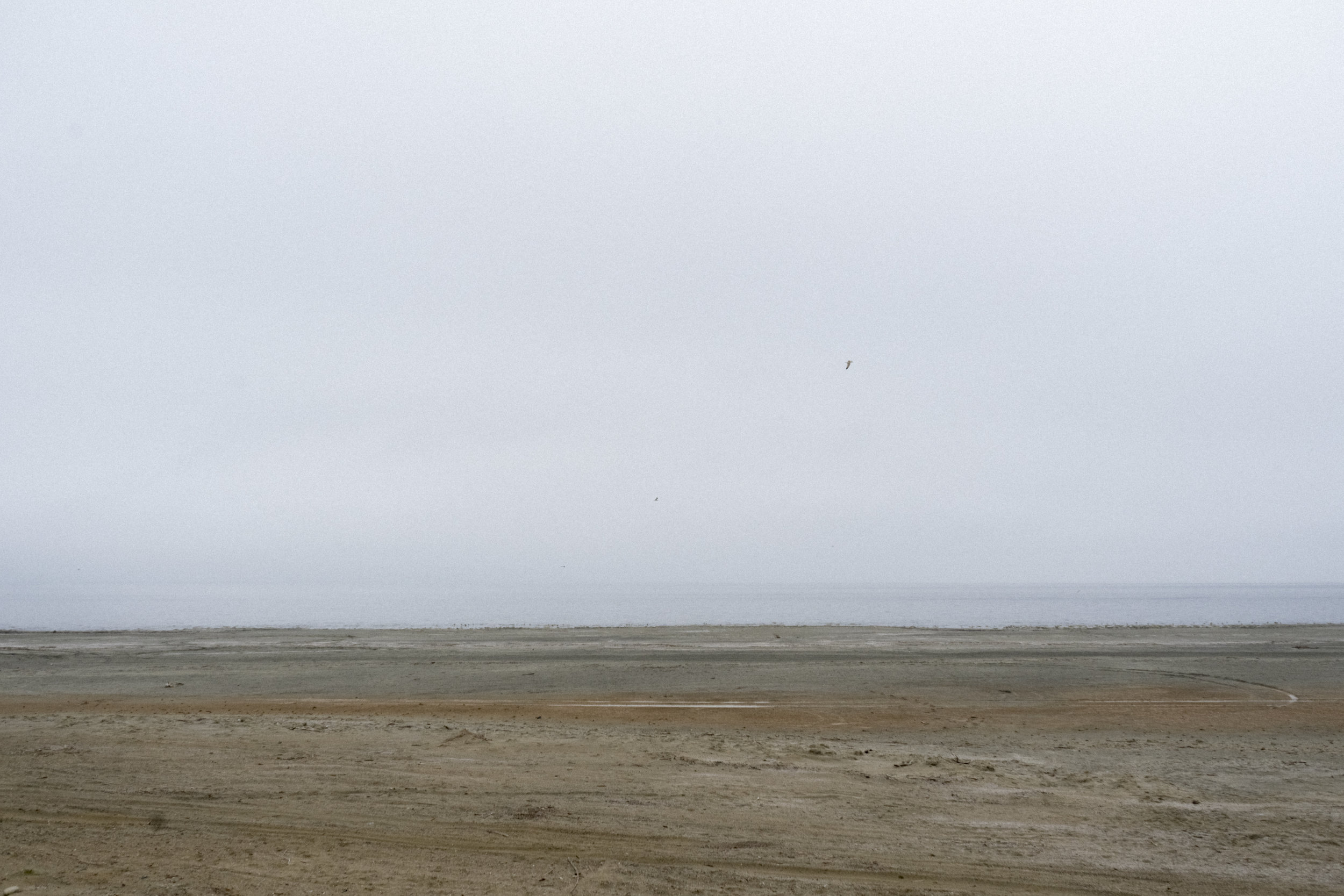 DSC08587.jpg
