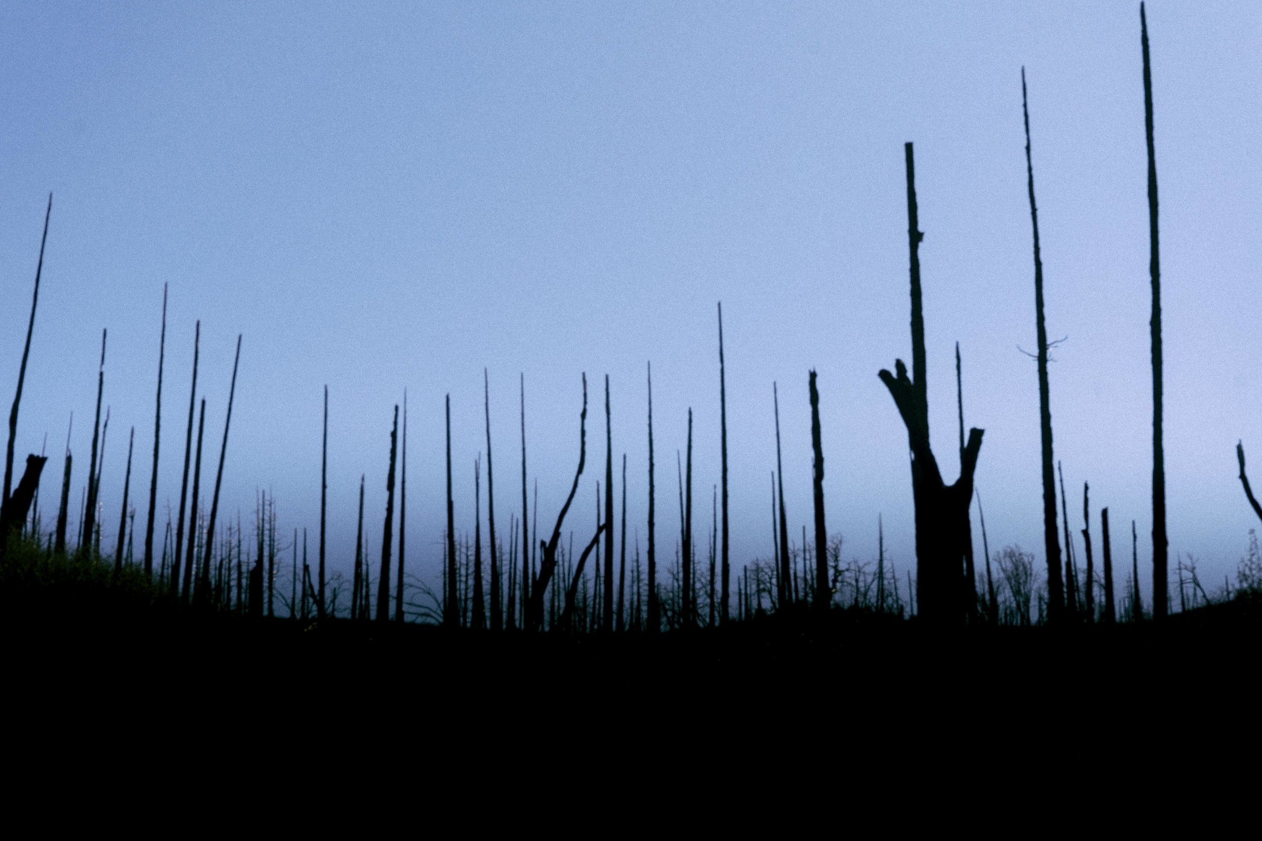 DSC09485-2.jpg