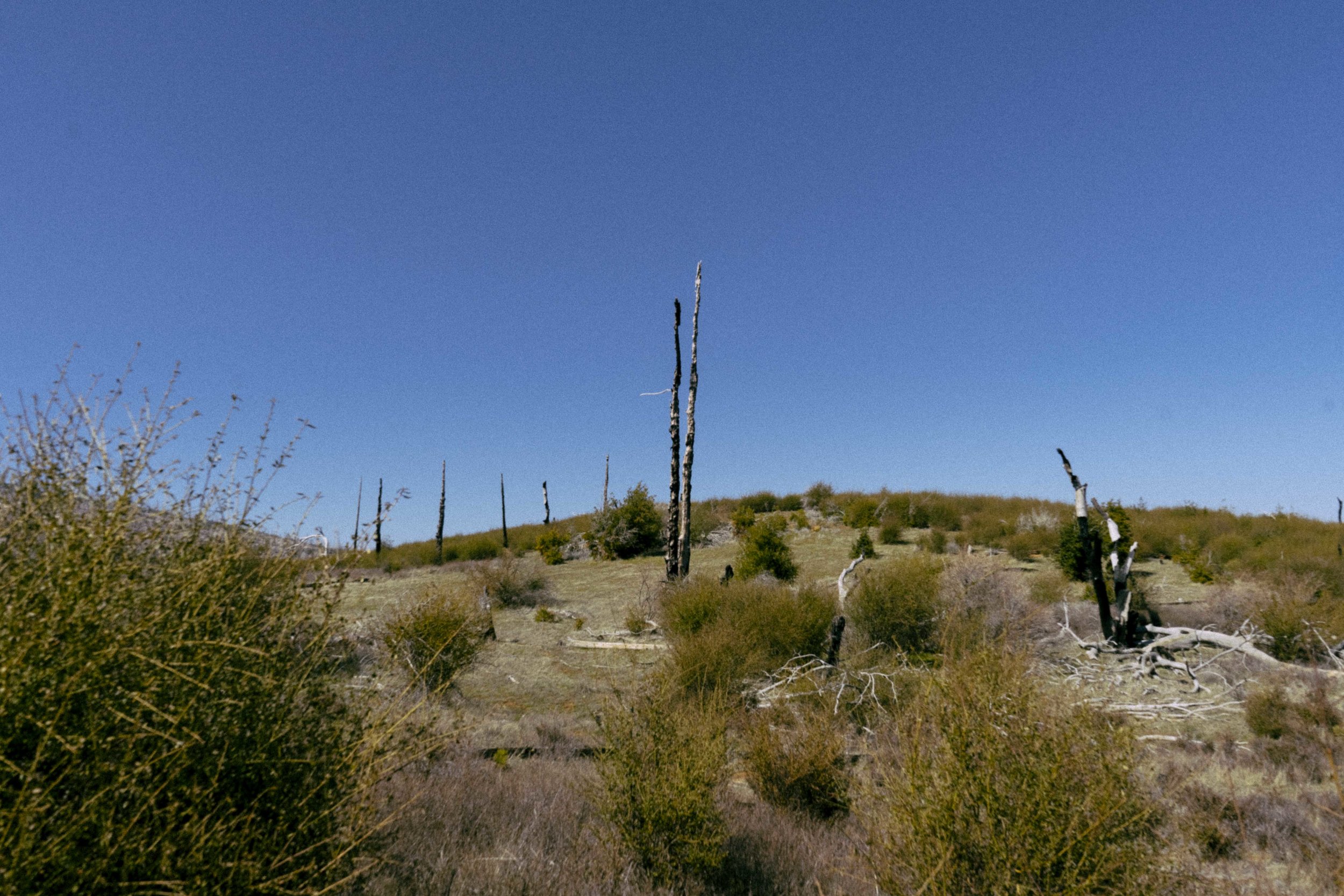 DSC09486.jpg