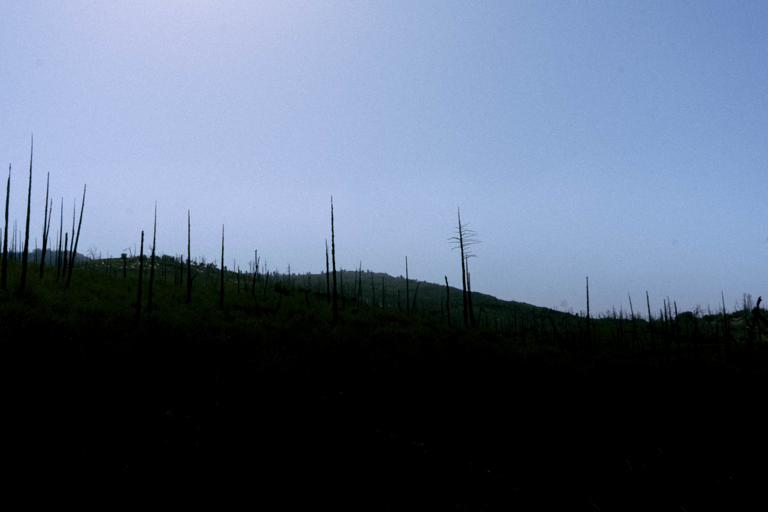 DSC09501.jpg