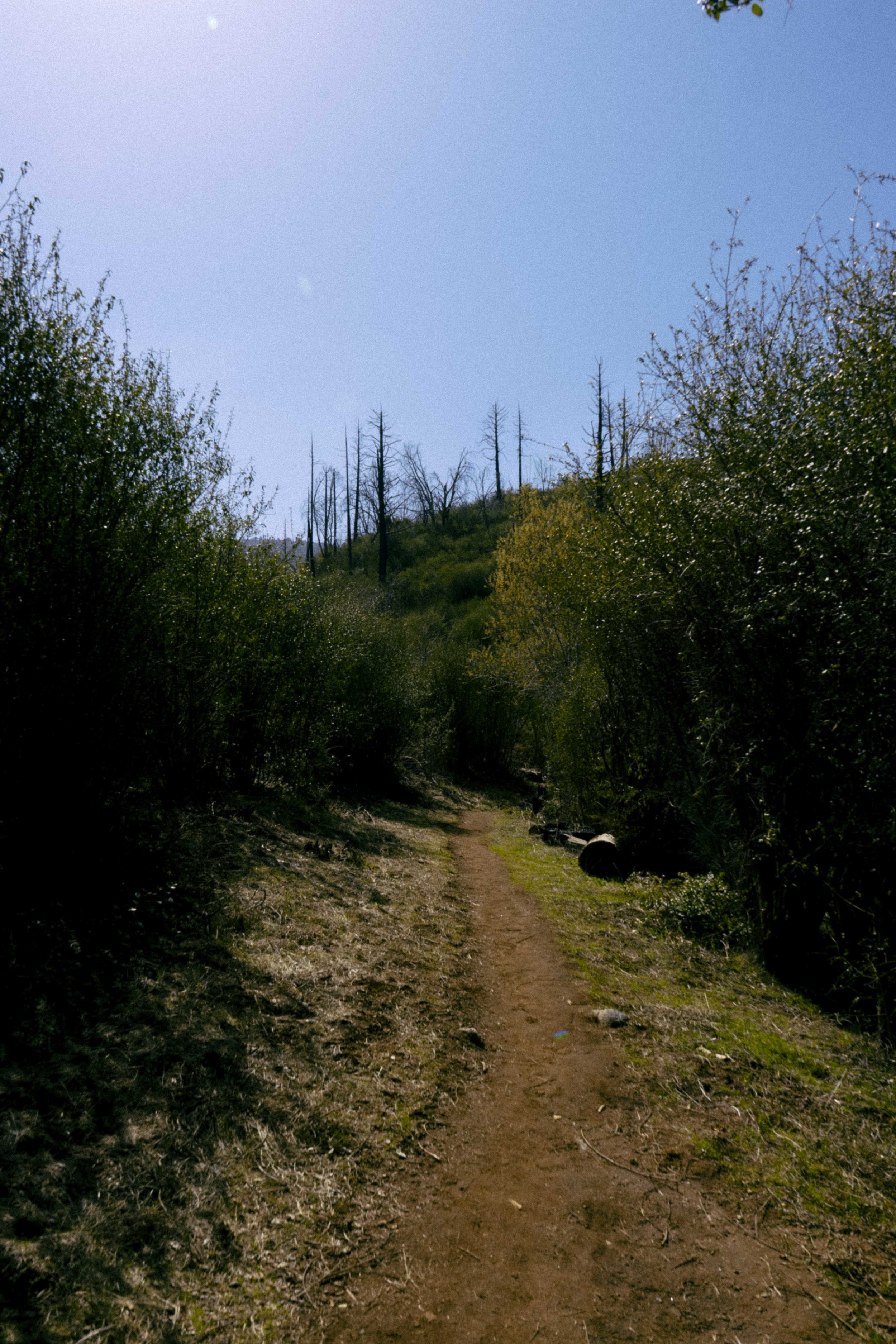 DSC09510.jpg