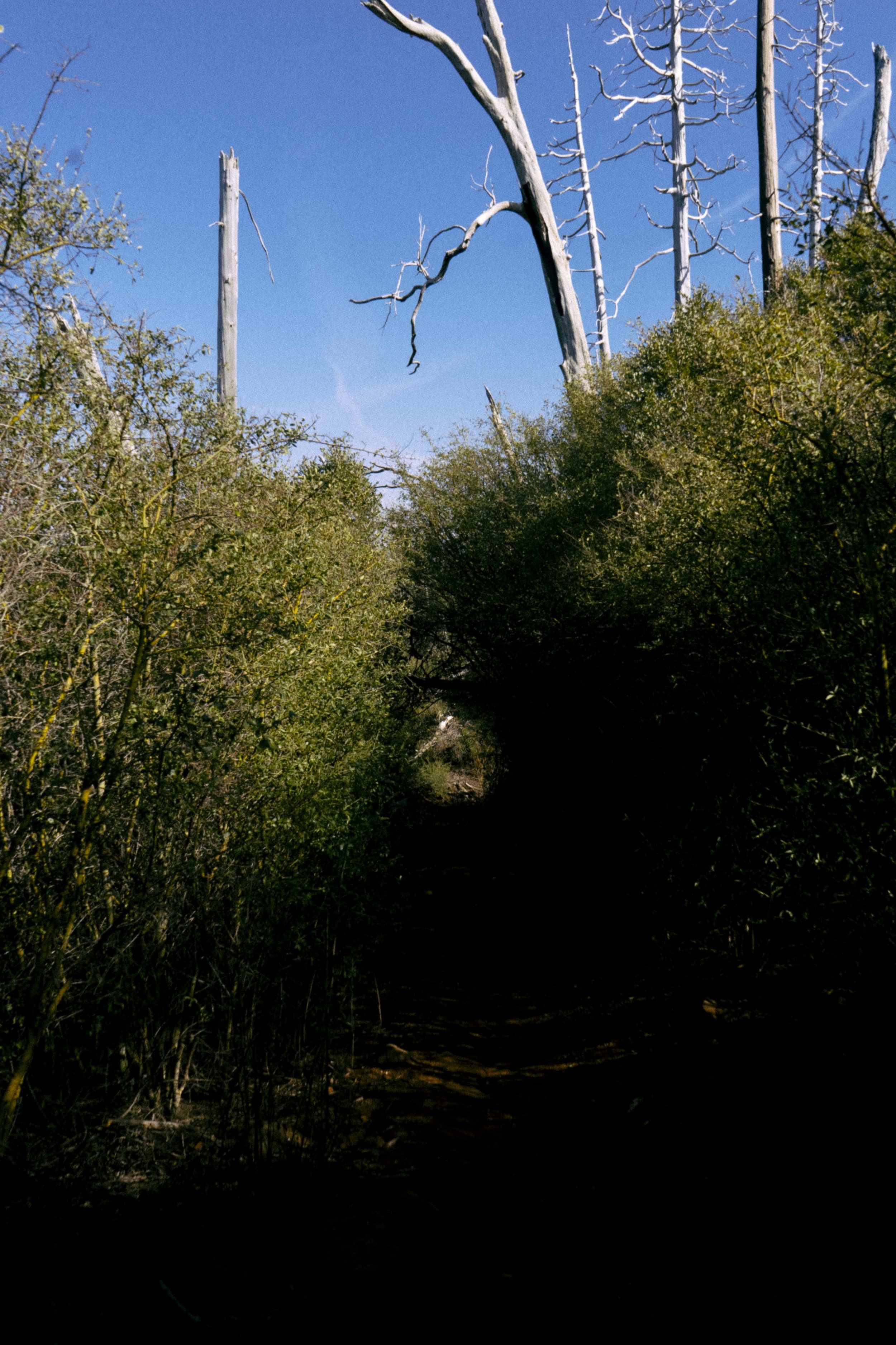 DSC09584.jpg