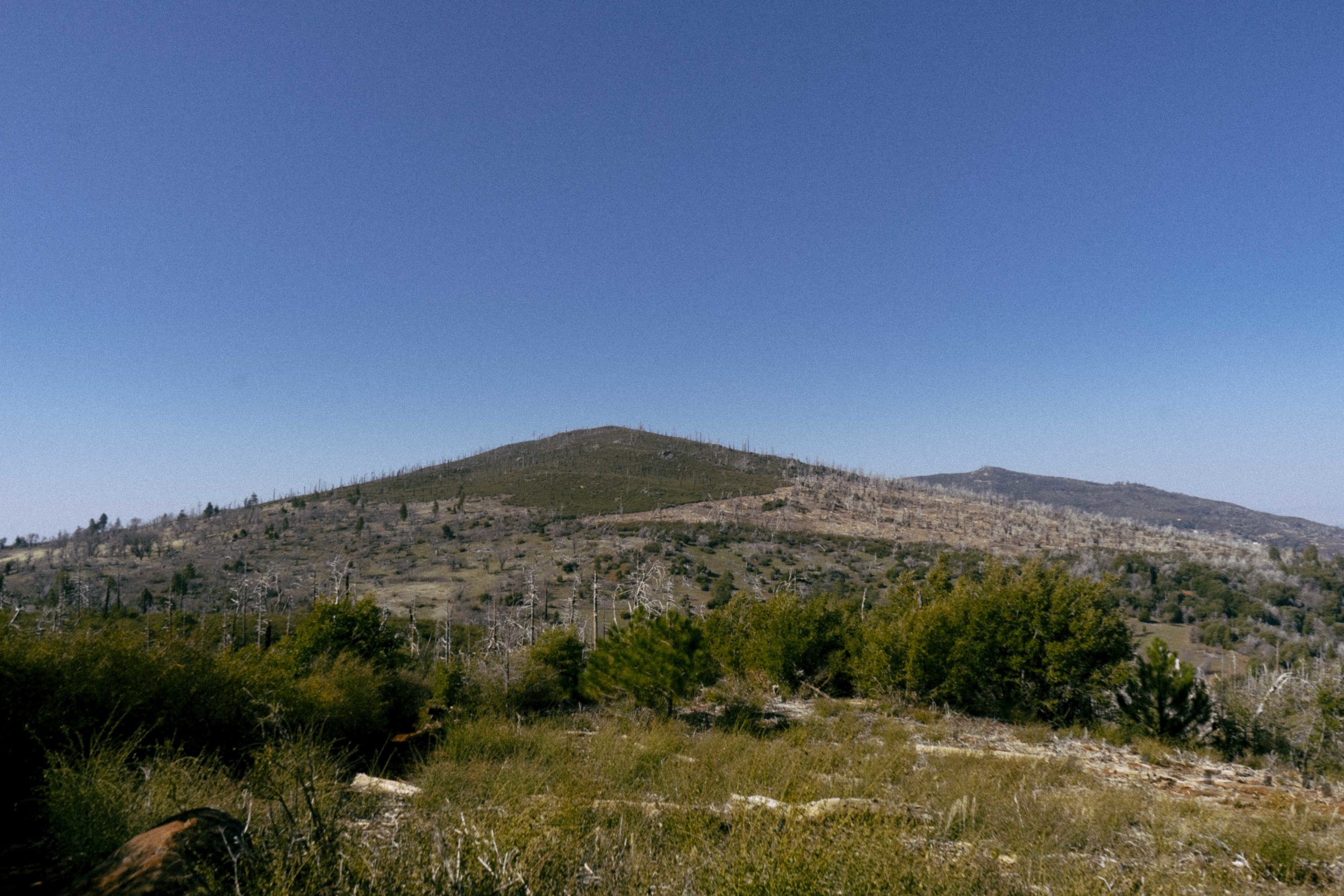 DSC09594.jpg